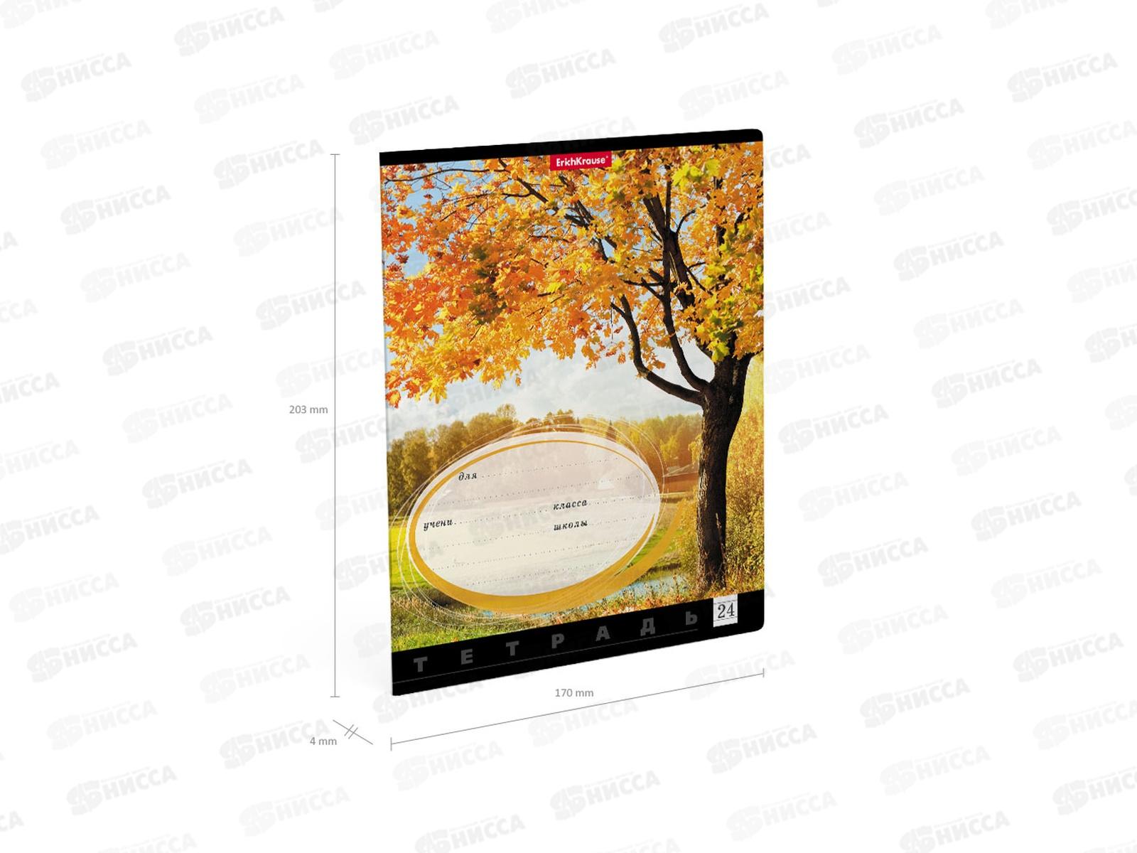 Тетрадь 24листа линия  ПОЛИ Родные просторы, 49230 *10/160