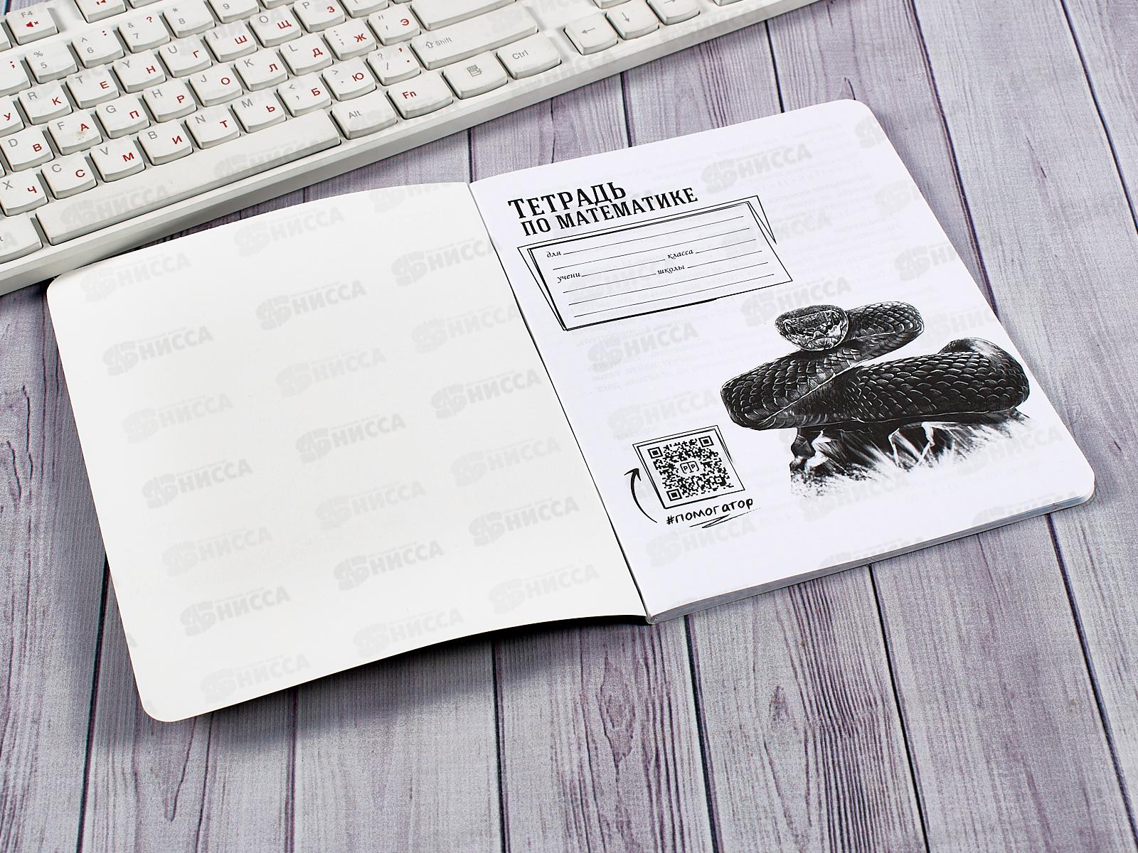 Тетрадь 48л кл. ПП &quotBLACKSOFT&quot Математика, 48-1736 *10/80