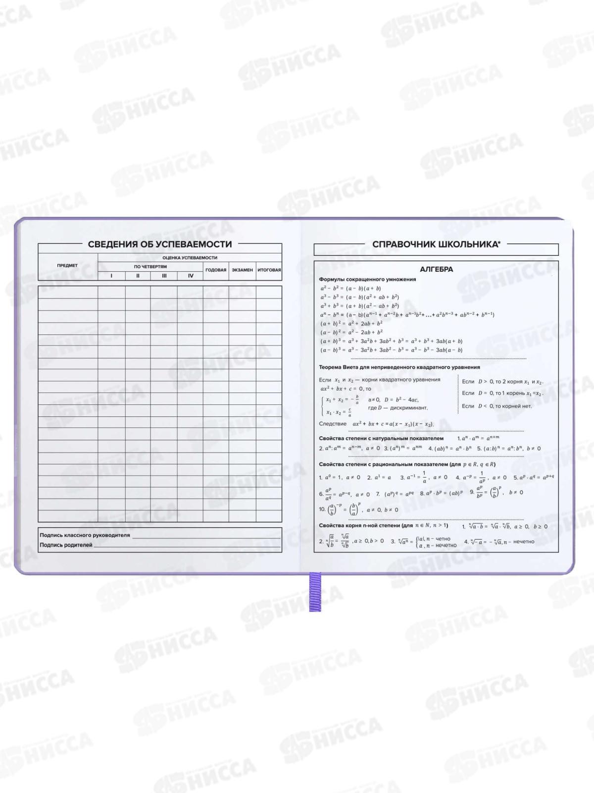 Дневник ФЕН Девочка с шарами,мягк.перепл., 62267 *15/30