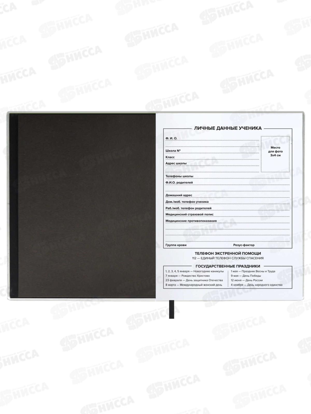 Дневник ФЕН Стильная киса,мягк.перепл.,62277*15/30