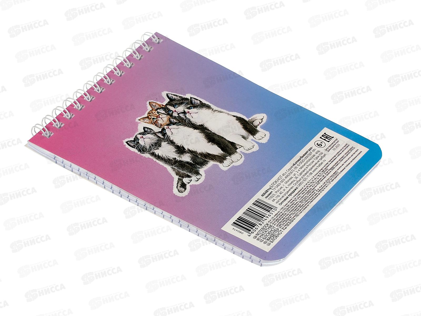 Блокнот 40л Hatber А6 Котики бывают разными *96