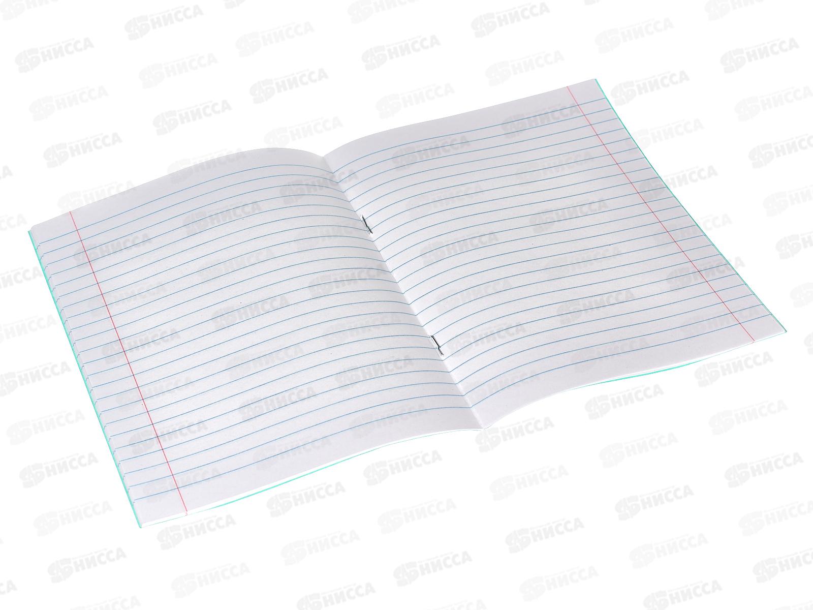 Тетрадь 18л лин. ПЗБМ 019889 офс.2*210*10/200