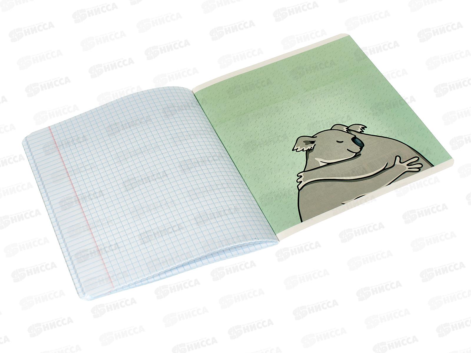 Тетрадь 48листов клетка ЭКСМ Hugs! ТКЛ487829 *100