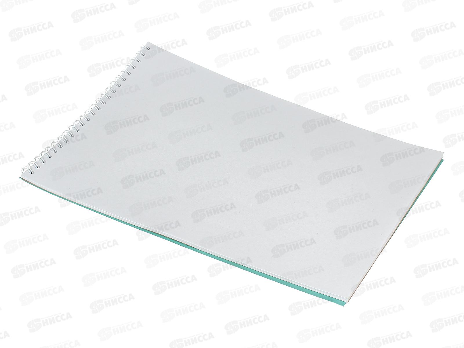 Альбом д/рис.24л Апплика,Забавные кошки греб. .С4586-09*40