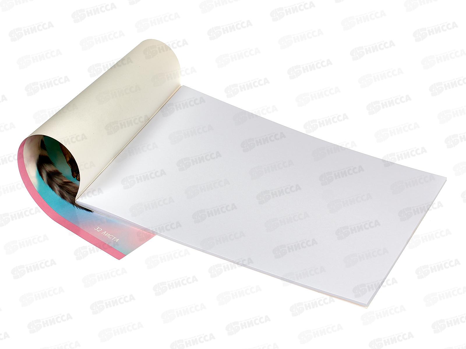 Альбом для рисования 32л SVETOCH Живи не тужи, 000217  *5/35