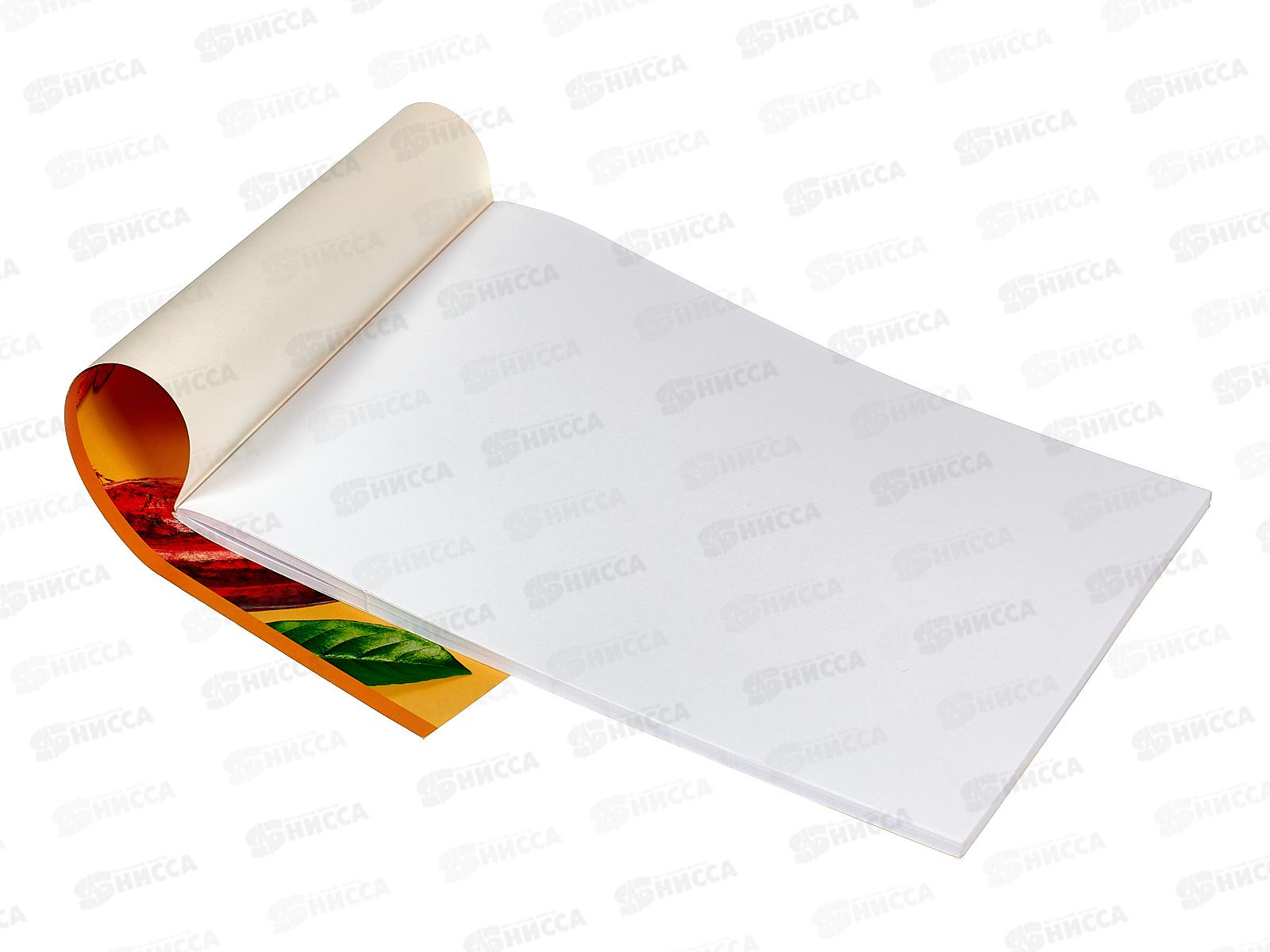 Альбом для рисования 48л SVETOCH Сочный фрукт, 000265  *5/25