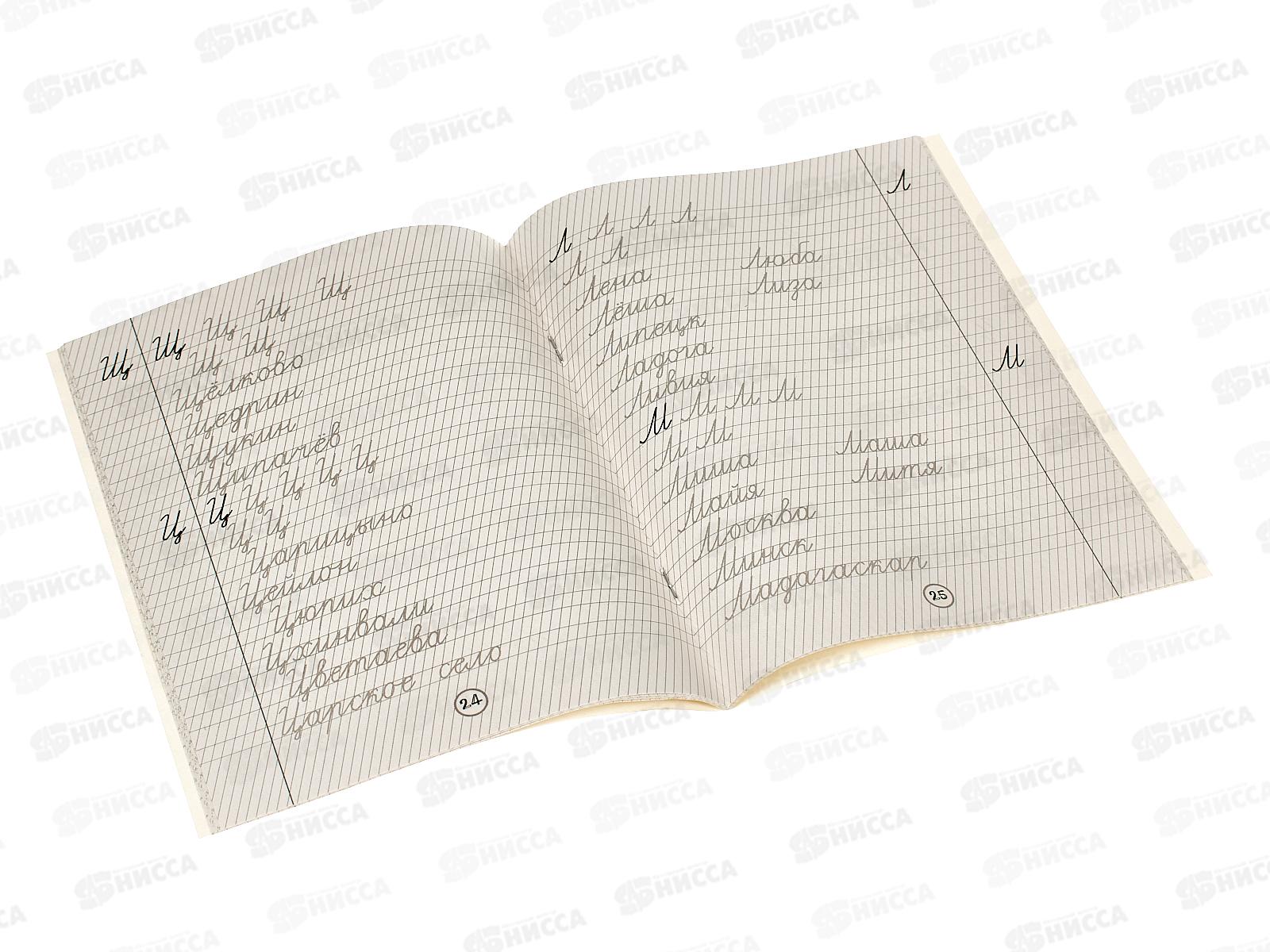 Книга АСТ Русский язык. Чистописание, 1 класс, Птухина А.В., 3714-2  *40