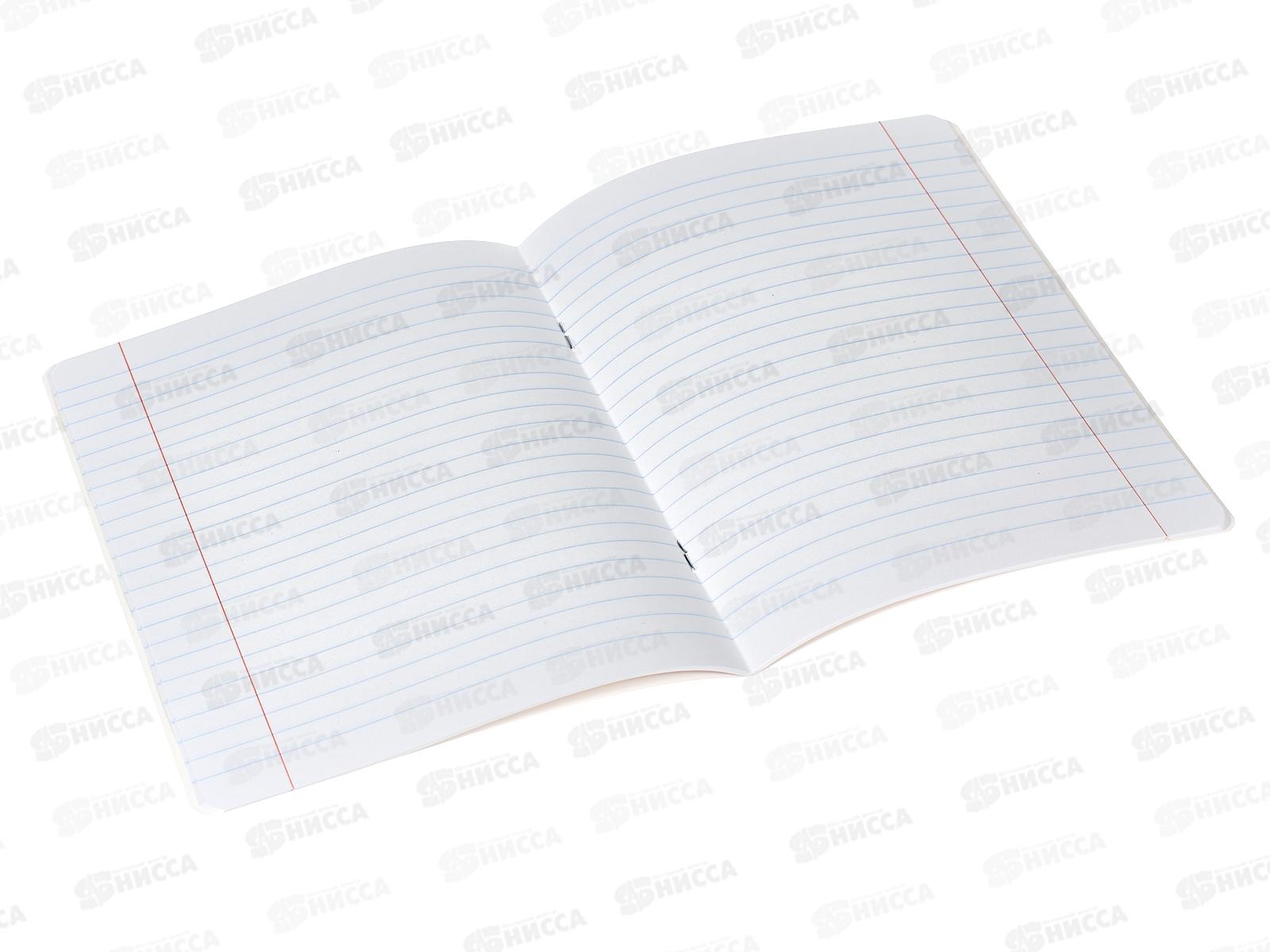 Тетрадь 24листа линия BG Bright school 11752*12/120