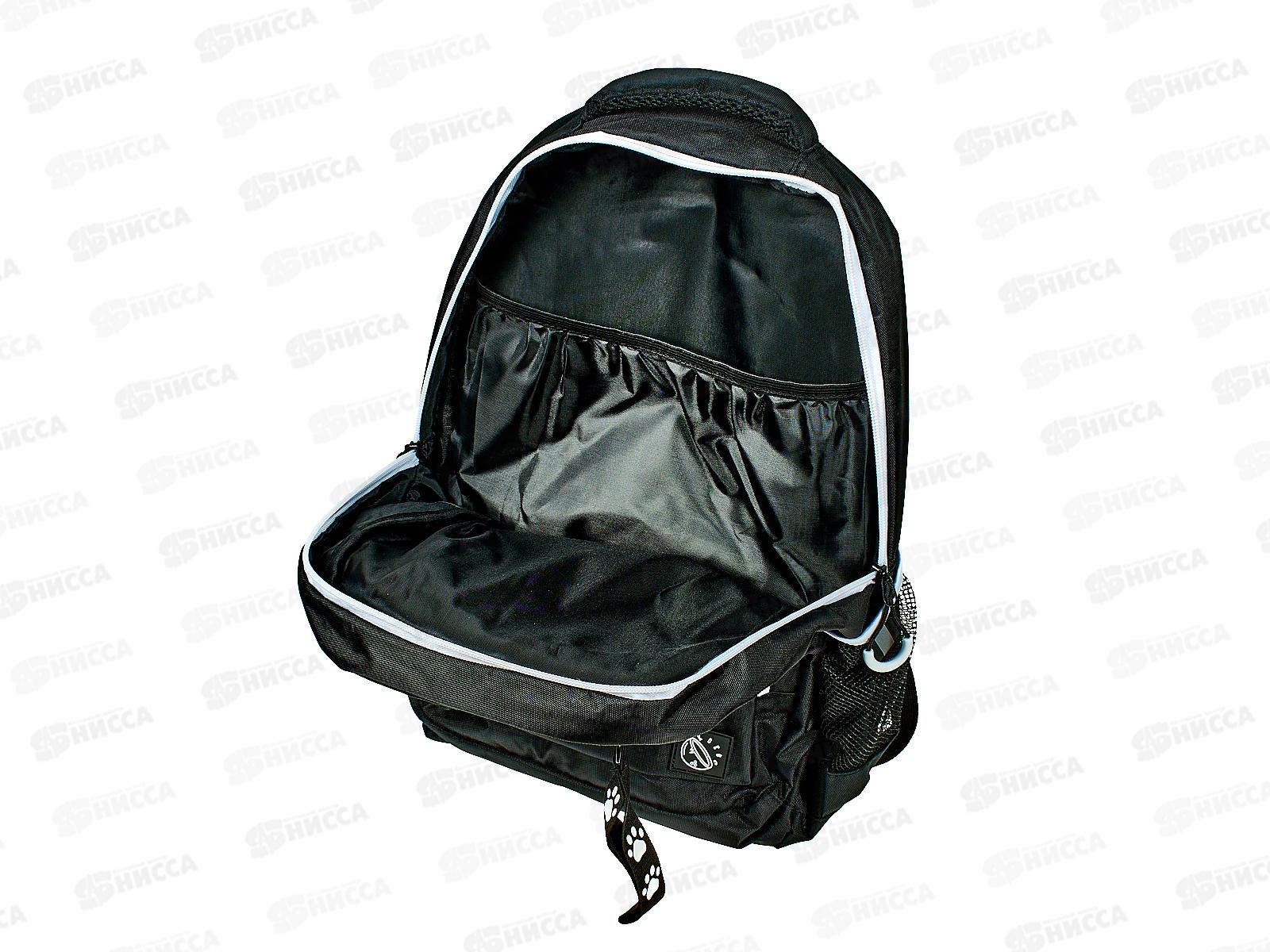 Рюкзак КОКОС Crash Yin Yang.,2отд,230365