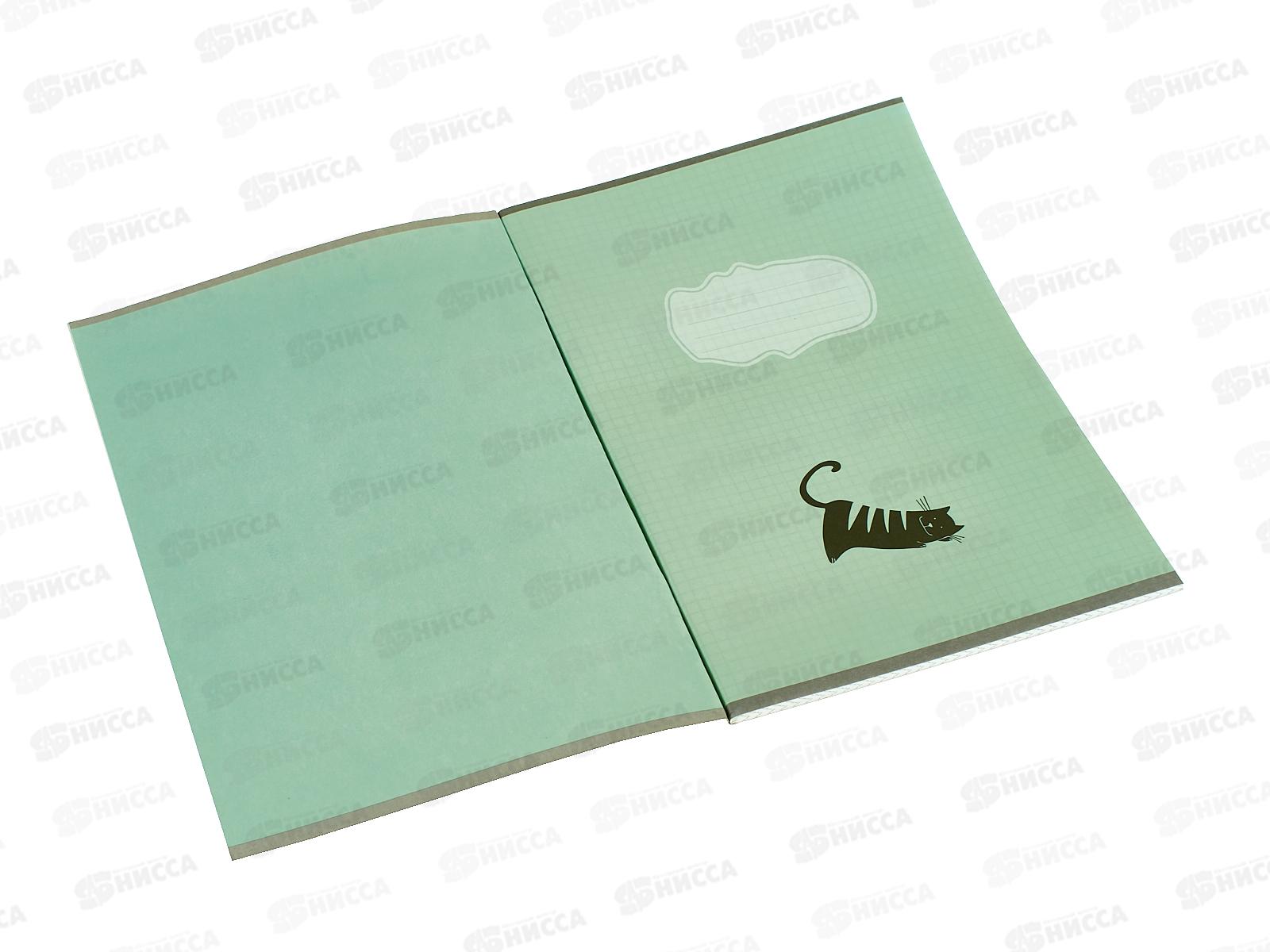 Тетрадь 48листов клетка АКАД Котовасия 13626/3- EAC*20/60