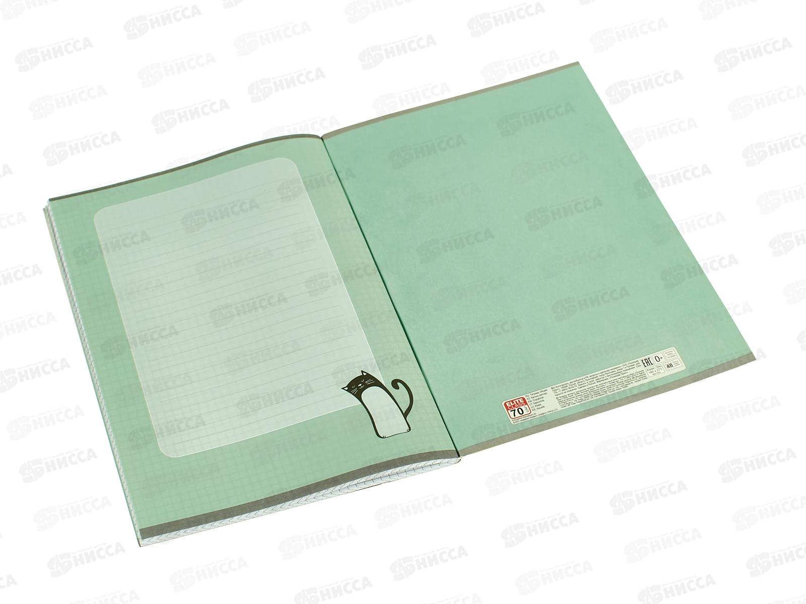 Тетрадь 48листов клетка АКАД Котовасия 13626/3- EAC*20/60