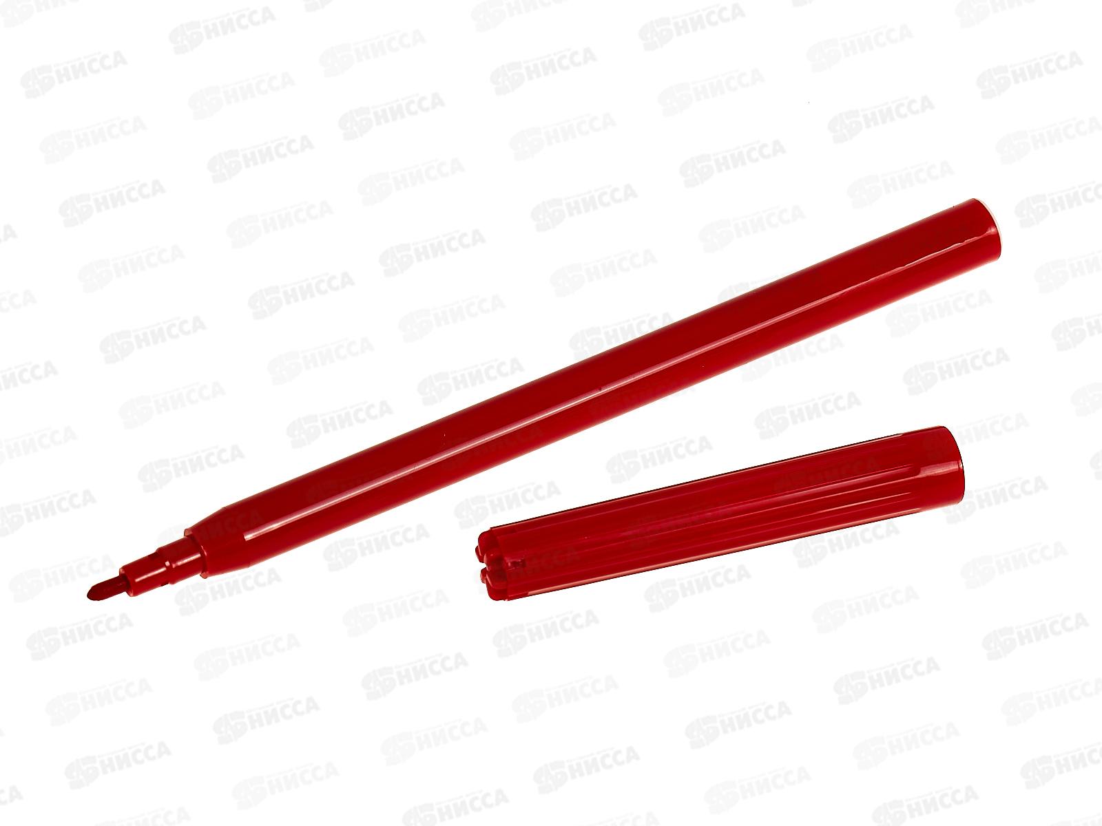 Фломастеры 6 цветов Hatber Сафари, 067043 *24