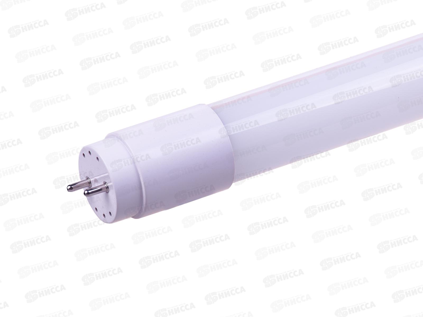 Лампа светодиодная ФАZA FLL T8-600 10w 6500K G13   *25