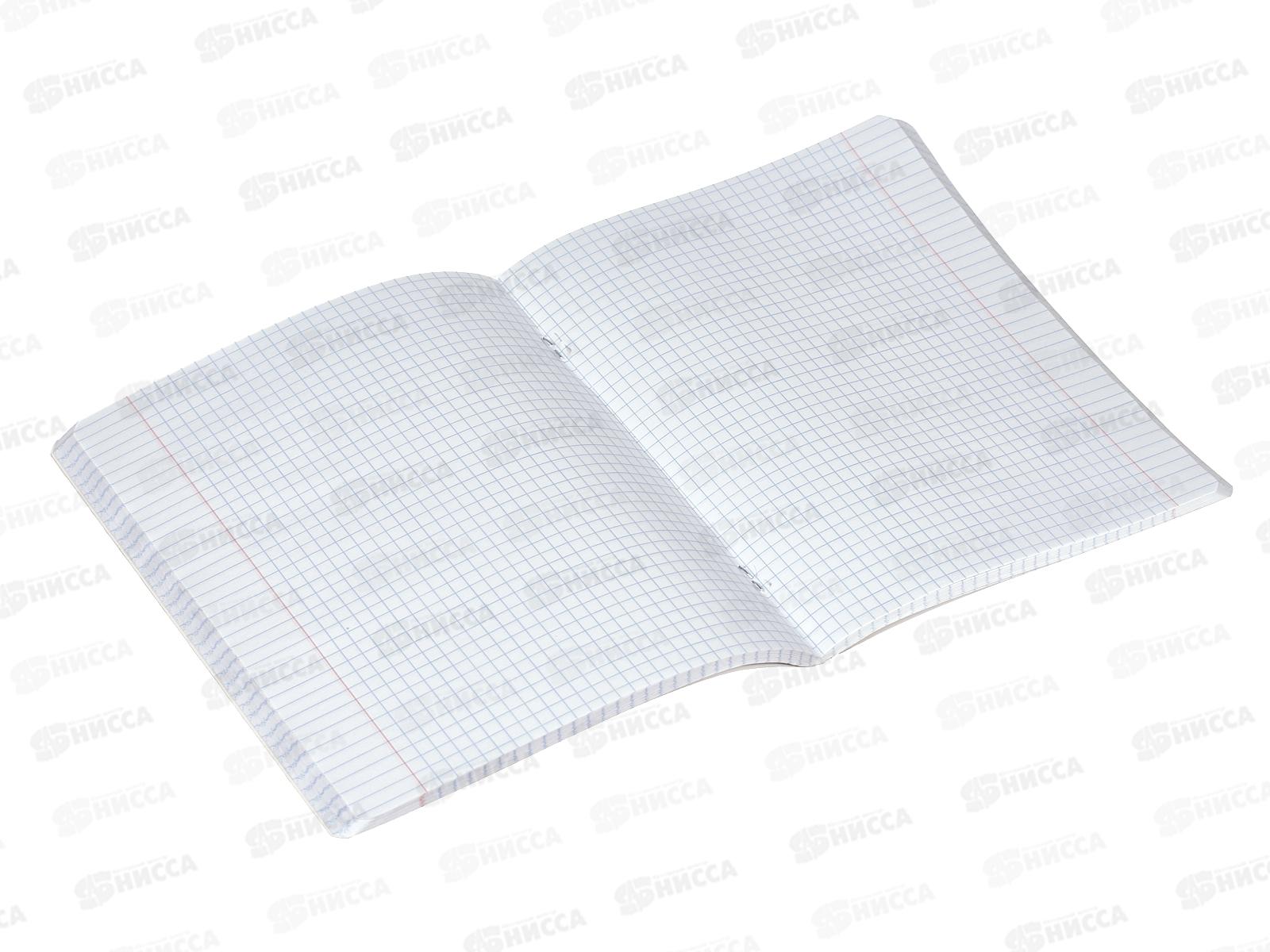 Тетрадь 96листов клетка  ПОЛИ Cats.58406 *5/60