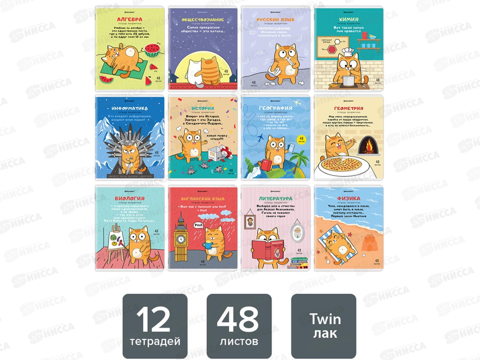 Набор 48листов тетрадей BRAU 12предм.,Кот-энтузиаст,404609*8