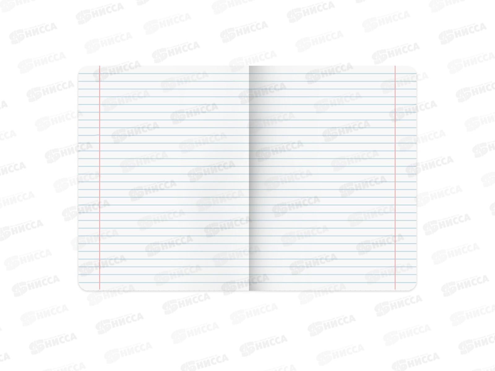 Набор 48листов тетрадей BRAU 12предм.,Кот-энтузиаст,404609*8