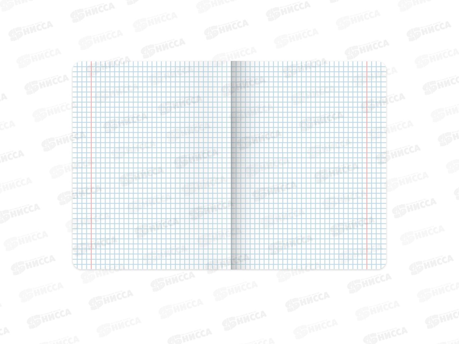 Набор 48листов тетрадей BRAU 12предм.,Кот-энтузиаст,404609*8