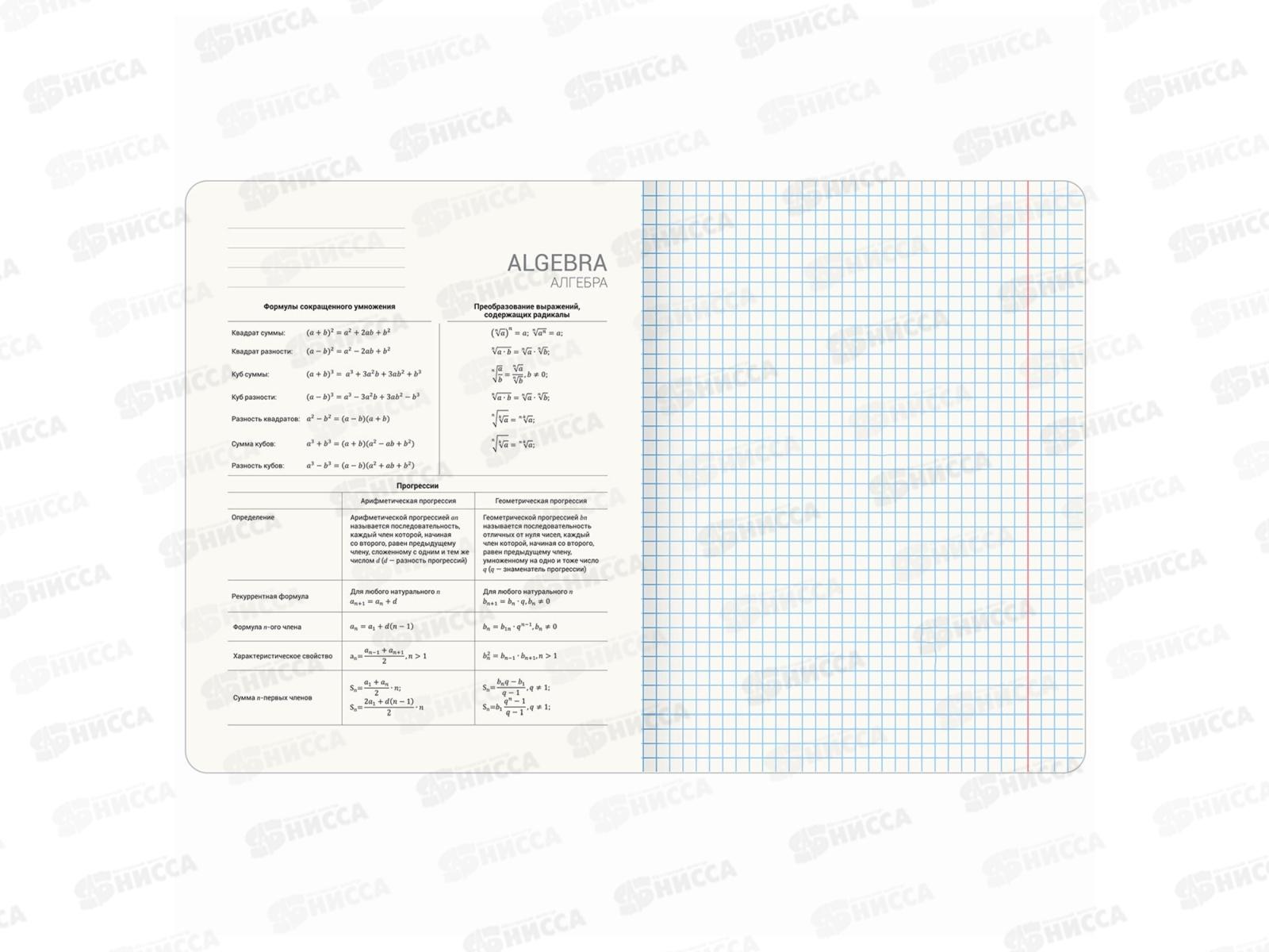 Набор 48листов тетрадей BRAU 12предм.,Кот-энтузиаст,404609*8