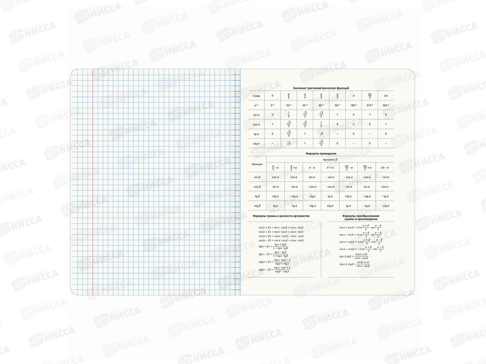 Набор 48листов тетрадей BRAU 12предм.,Кот-энтузиаст,404609*8