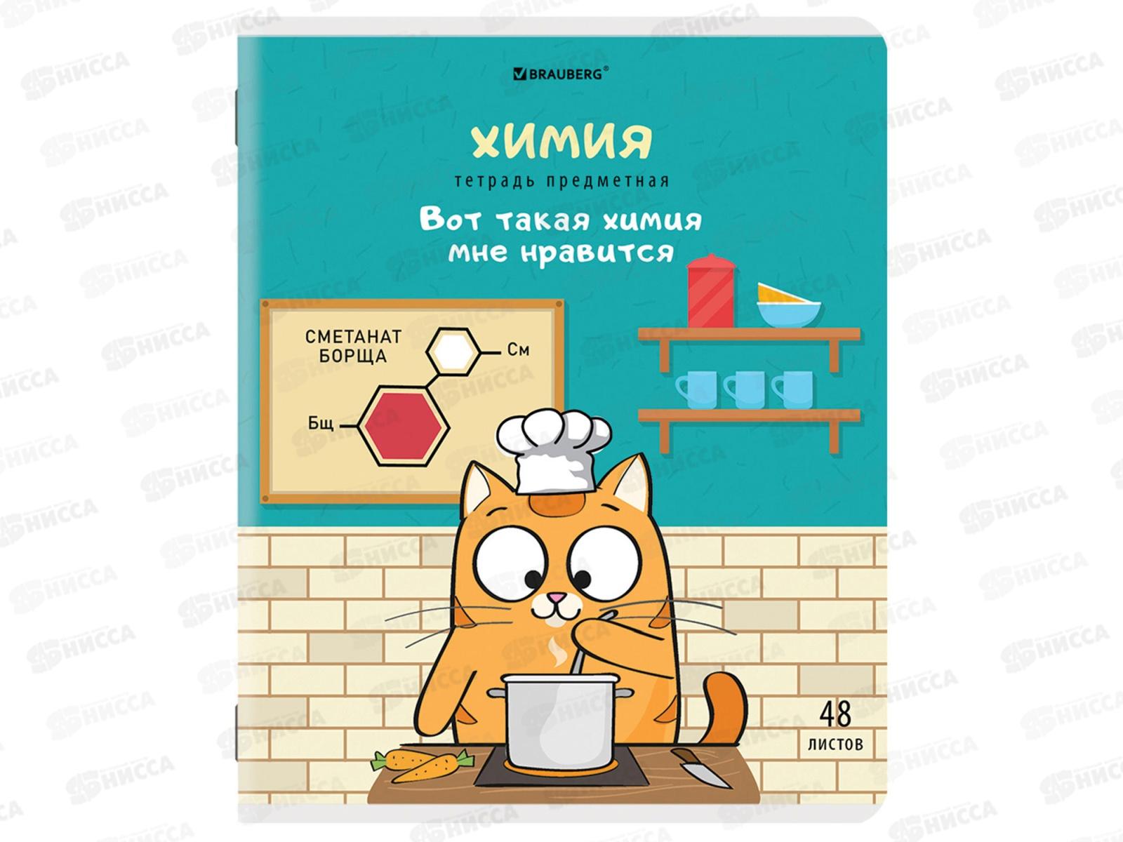 Набор 48листов тетрадей BRAU 12предм.,Кот-энтузиаст,404609*8