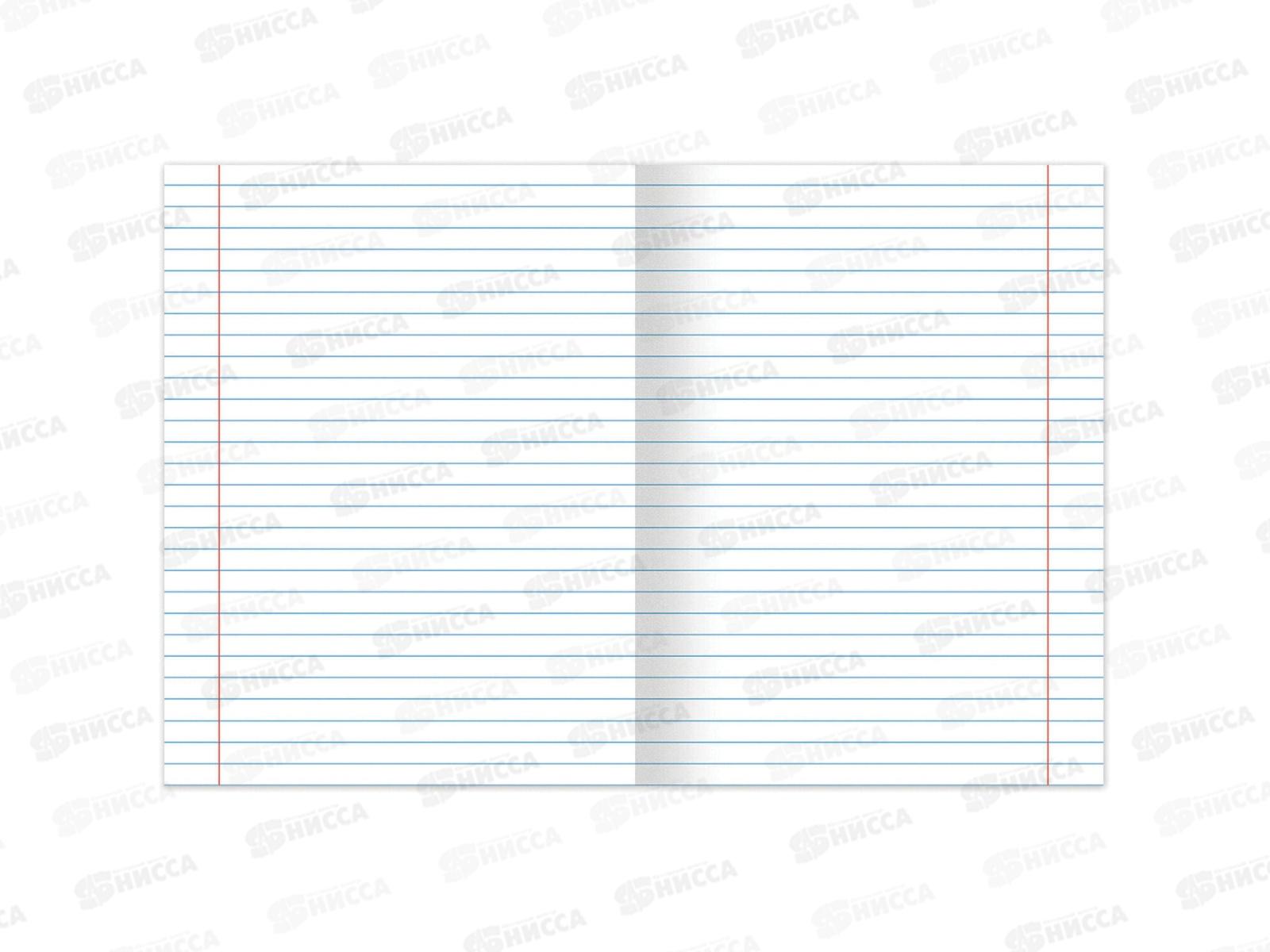 Набор 48листов тетрадей BRAU 12предм.,Пастельная,404026*6