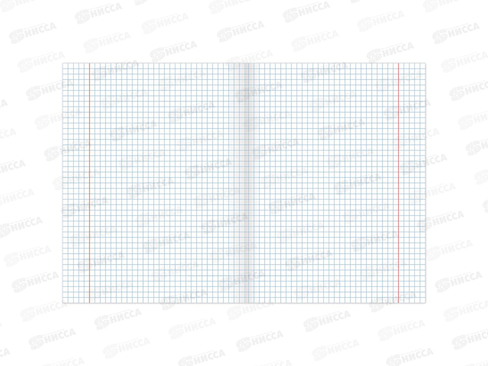 Набор 48листов тетрадей BRAU 12предм.,Пастельная,404026*6