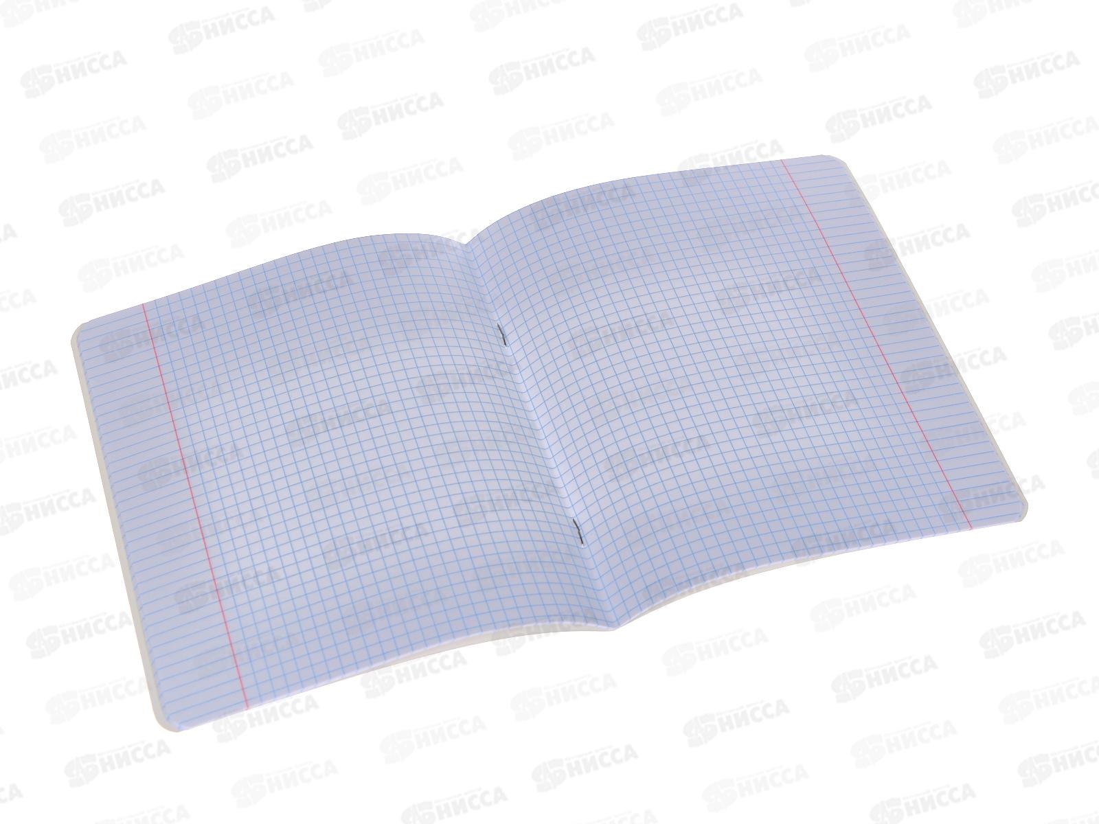 Тетрадь 18листов клетка Hatber Апельсиновая йога,083170 *10/120