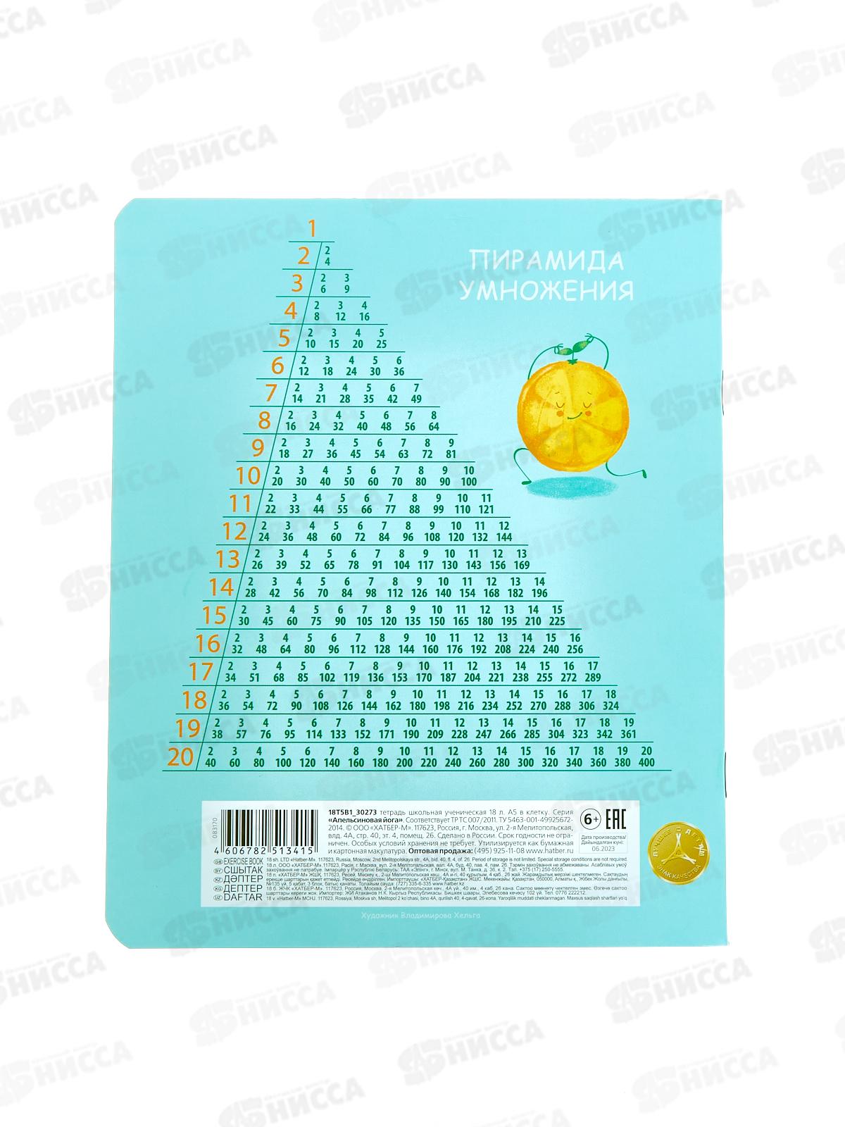 Тетрадь 18листов клетка Hatber Апельсиновая йога,083170 *10/120