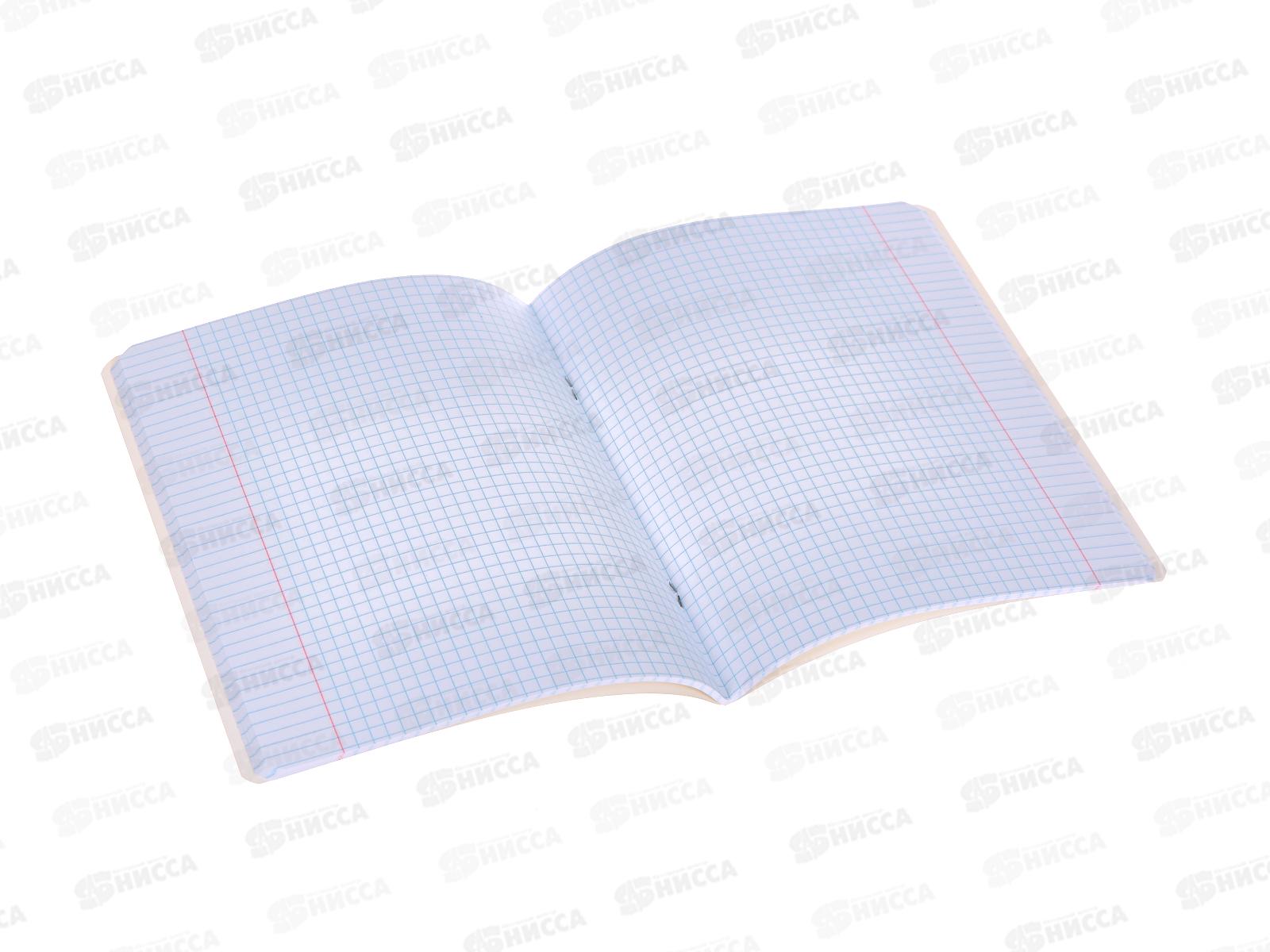 Тетрадь 48листов клетка Hatber Ты видишь 080216*5/100