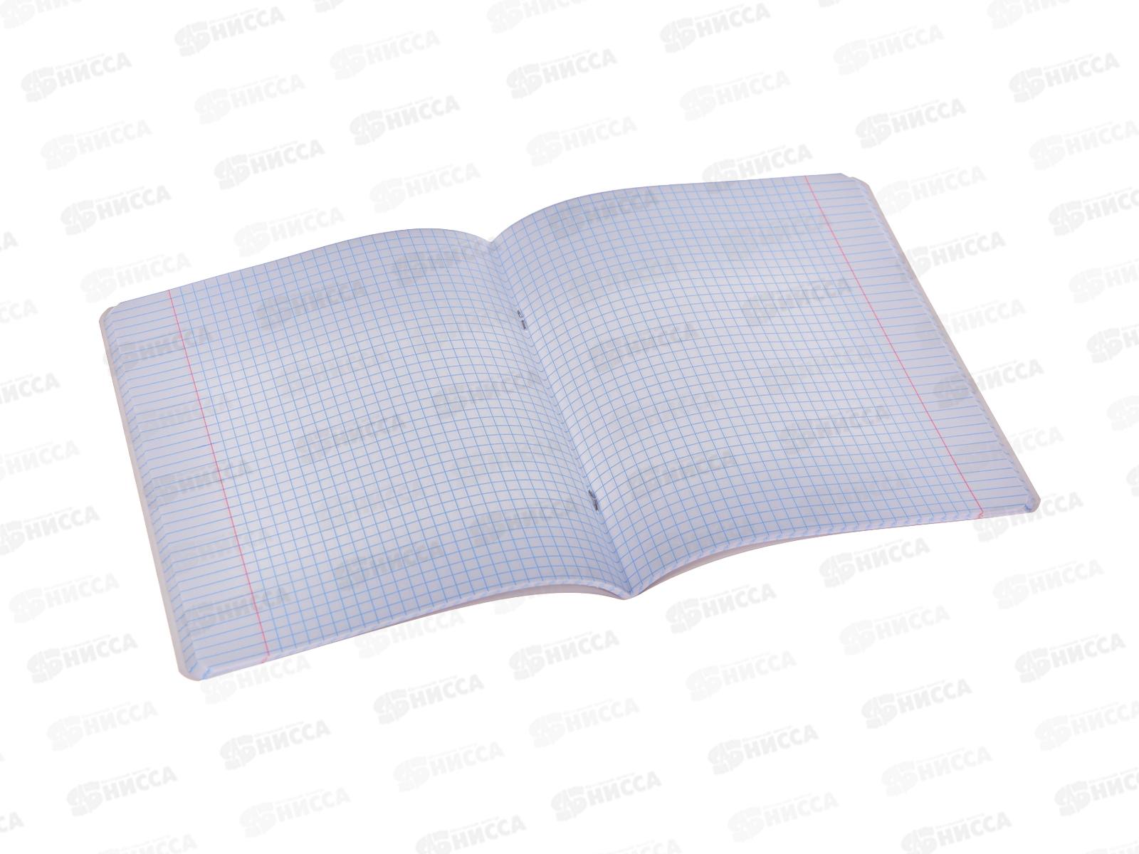 Тетрадь 48л кл. Hatber Оранжевое настроение,082310*10/100