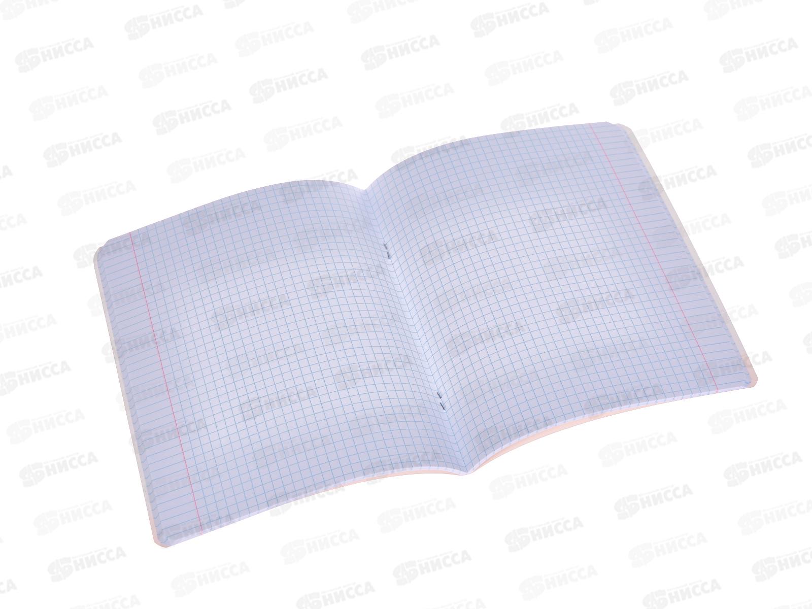 Тетрадь 48листов клетка  Hatber Котик-апельсинка,082799 *10/100