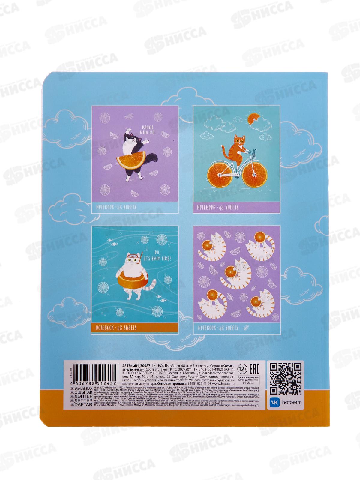 Тетрадь 48листов клетка  Hatber Котик-апельсинка,082799 *10/100