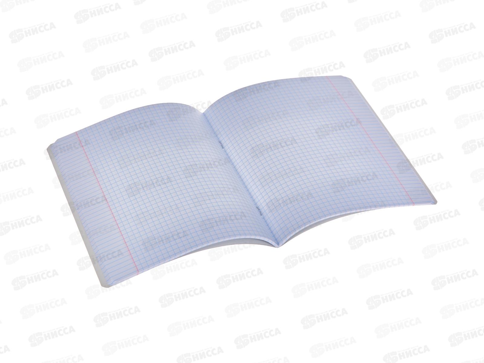 Тетрадь 48 листов клетка  Hatber Головокружение 075627 *10/100