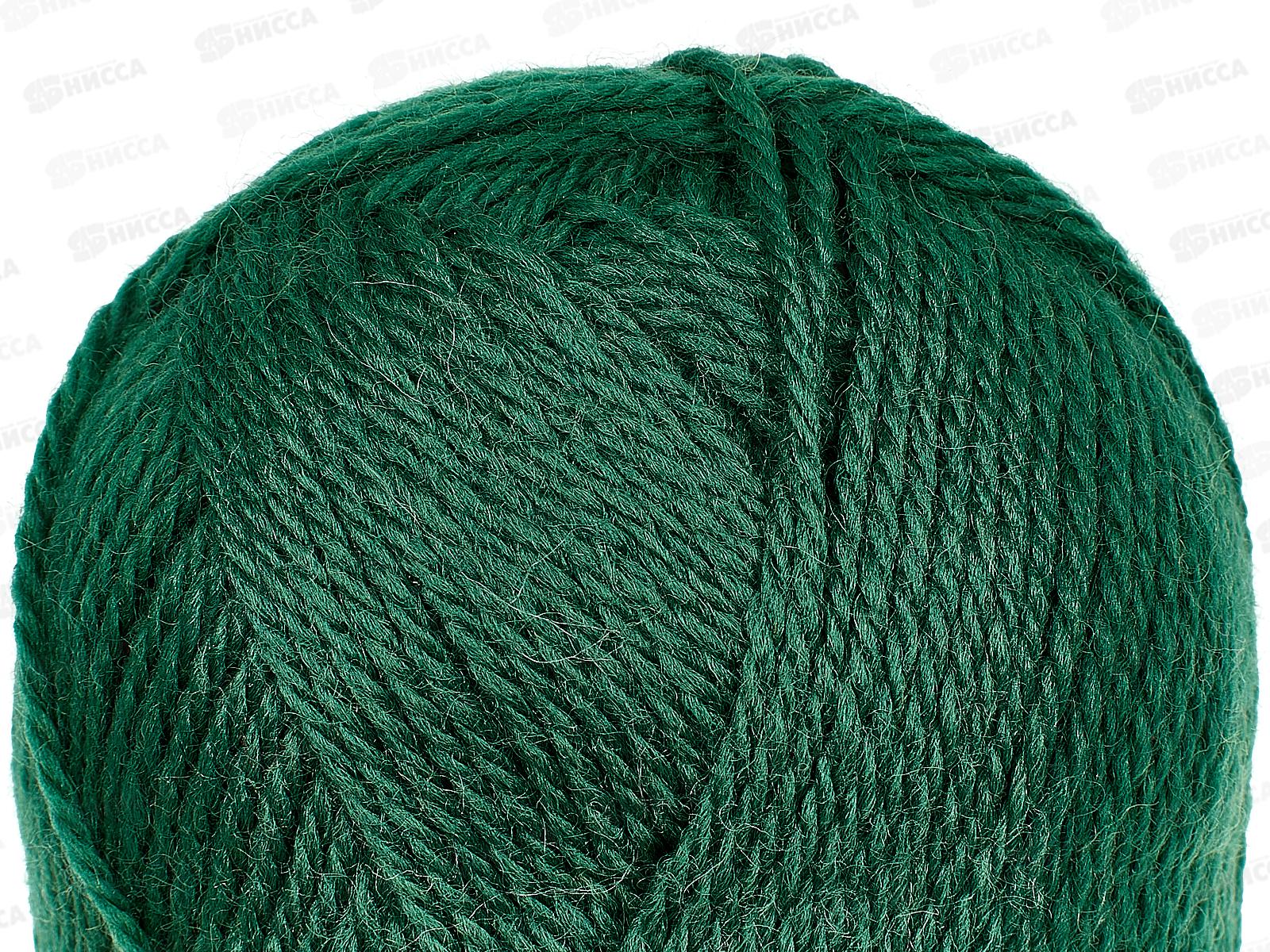 Пряжа Аргентинская шерсть Зеленый 100гр 200м 110 *10