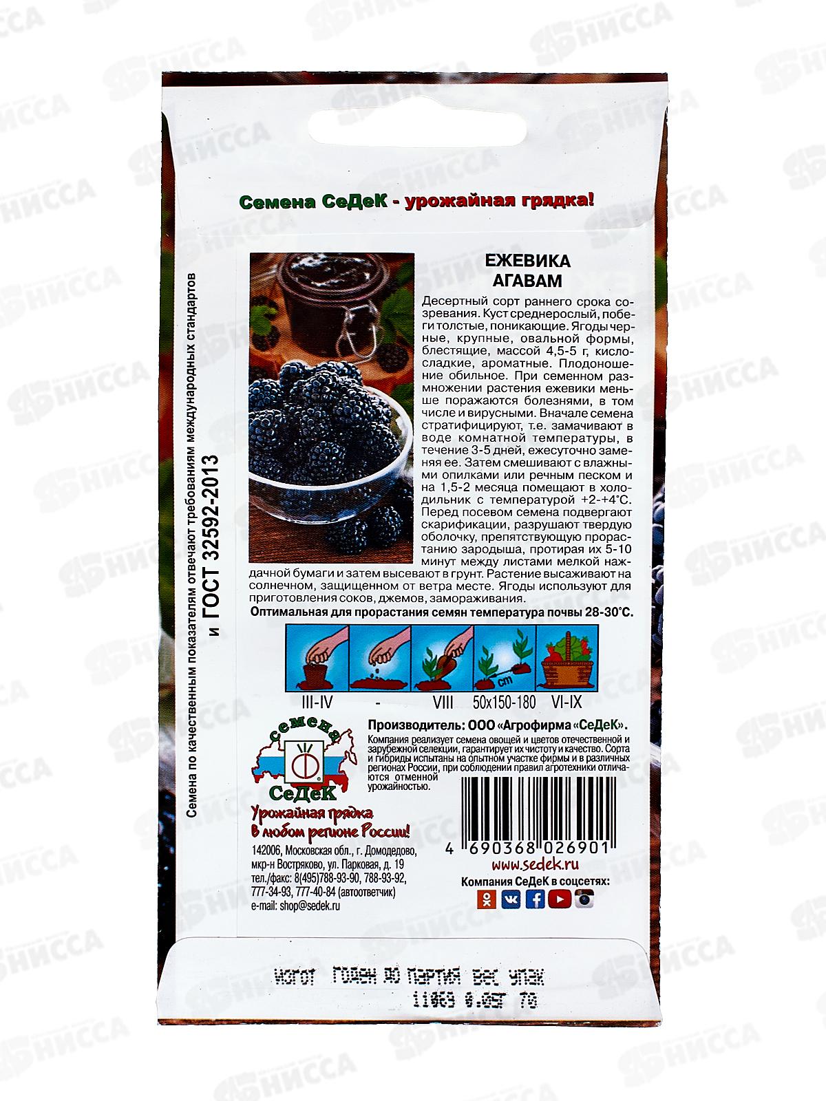 Ежевика Агавам (Евро, 0,05) *10 СеДек +