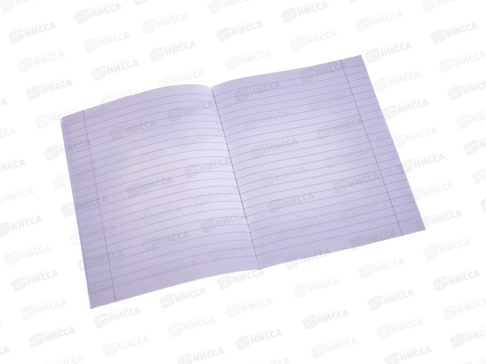 Тетрадь 12л лин. ArtSPACE Питомцы o funny 43230*20/240