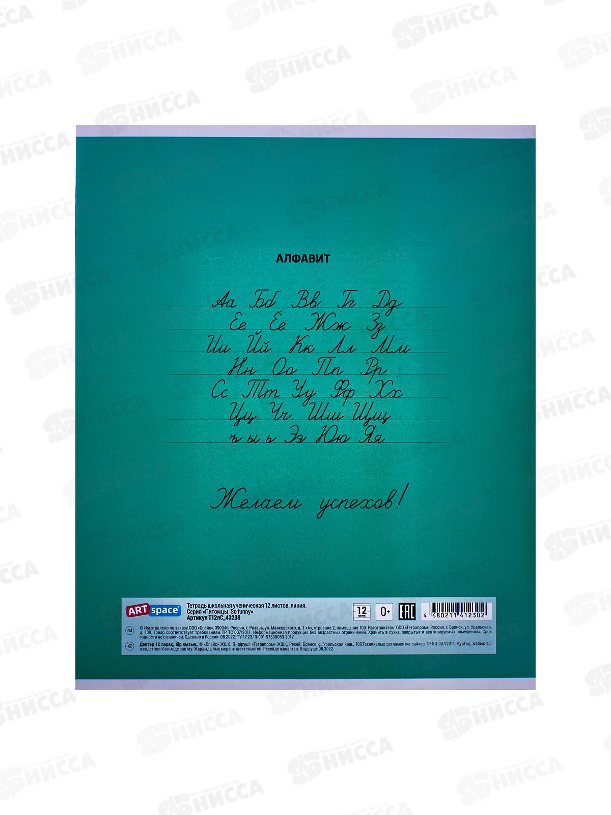 Тетрадь 12л лин. ArtSPACE Питомцы o funny 43230*20/240