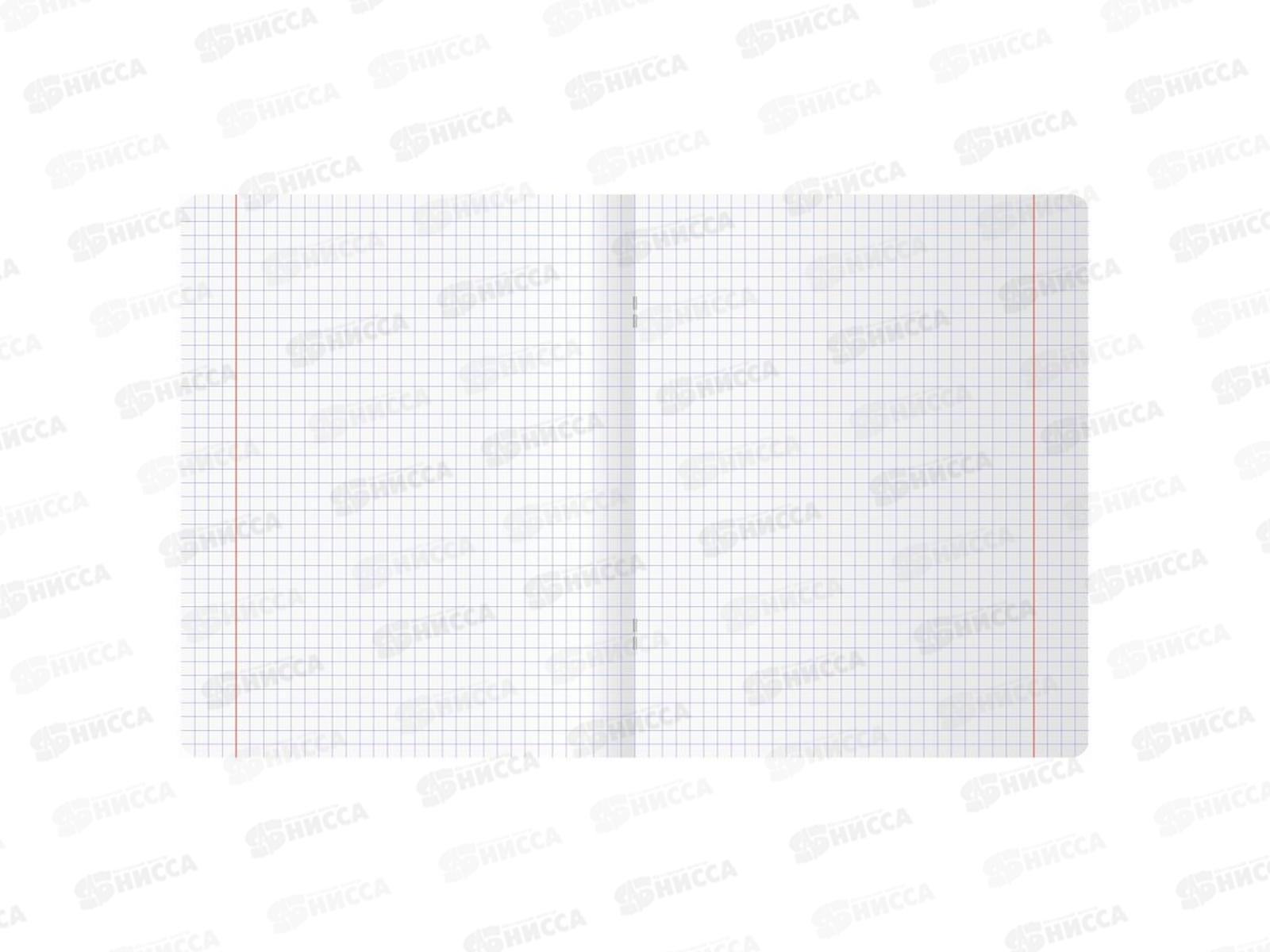 Тетрадь 48листов клетка  BG Сочная тетрадь 11037*8/80