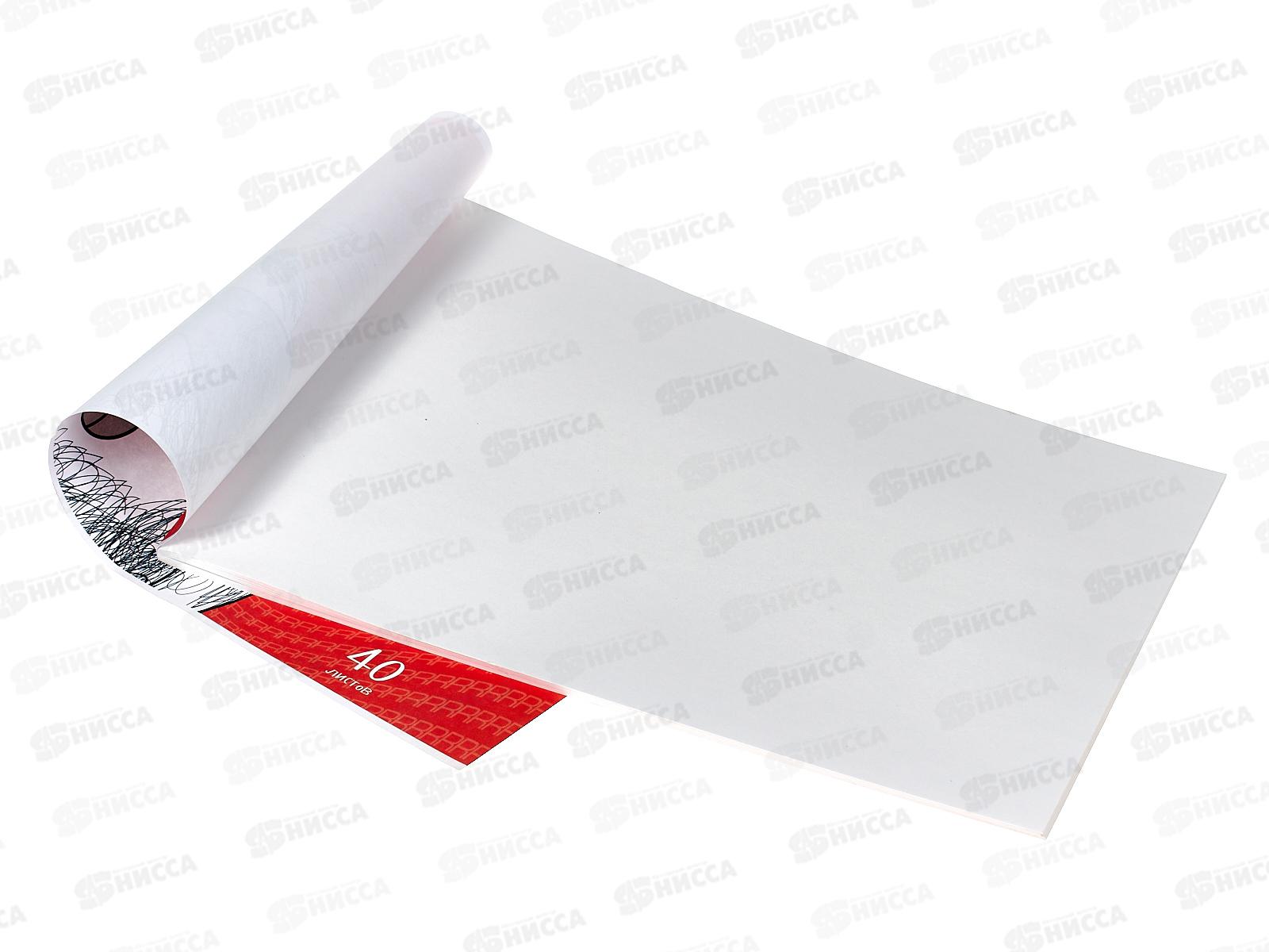 Альбом для рисования 40л Апплика,Довольный кот С1184-48*30