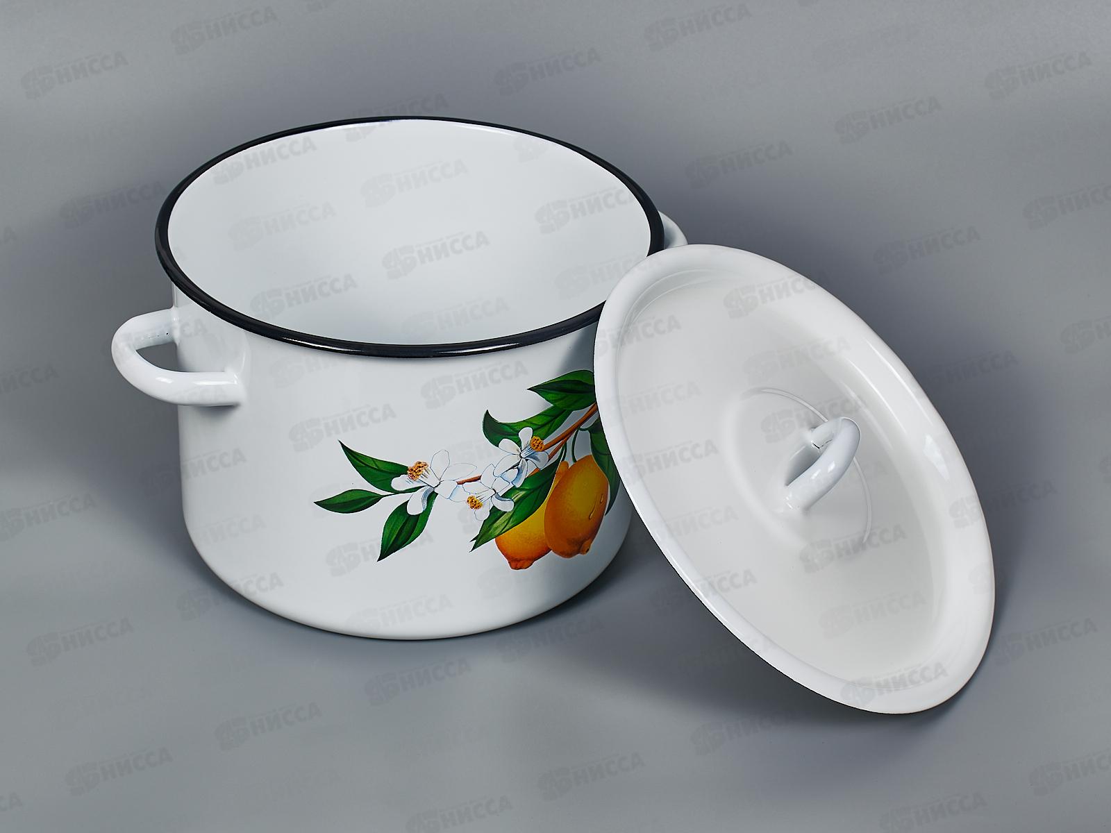 Кастрюля 4,5л эмалированная с рисунком 01-1615/4 Лимоны *2