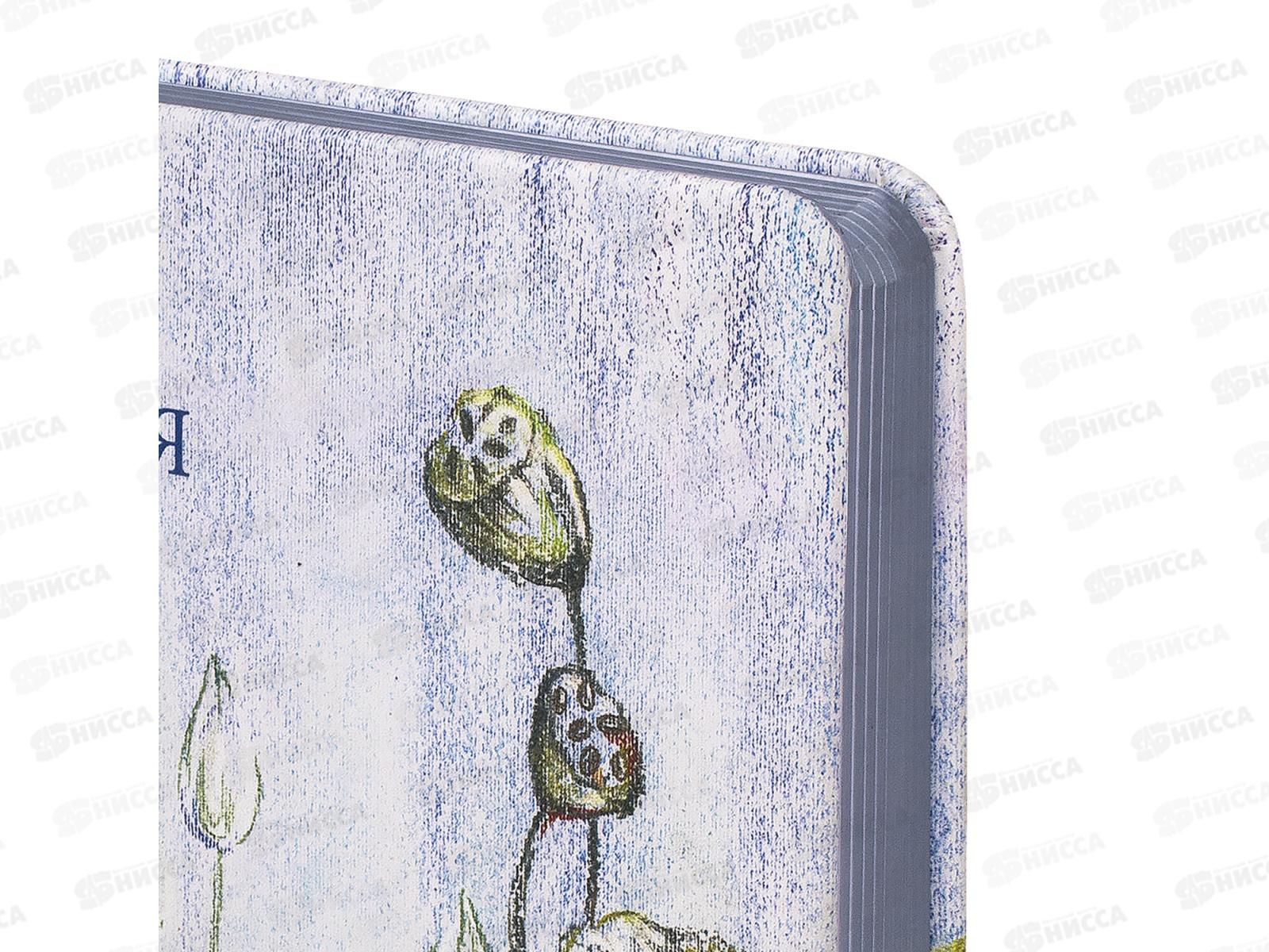 Ежедневник учителя BRAU А5 Гармония 215*145 112708 *16