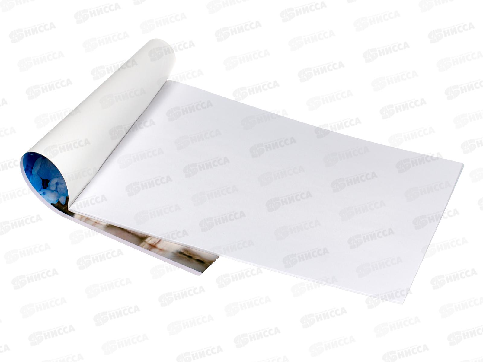 Альбом для рисования 24л Hatber Кототерапия,079723 *5/30