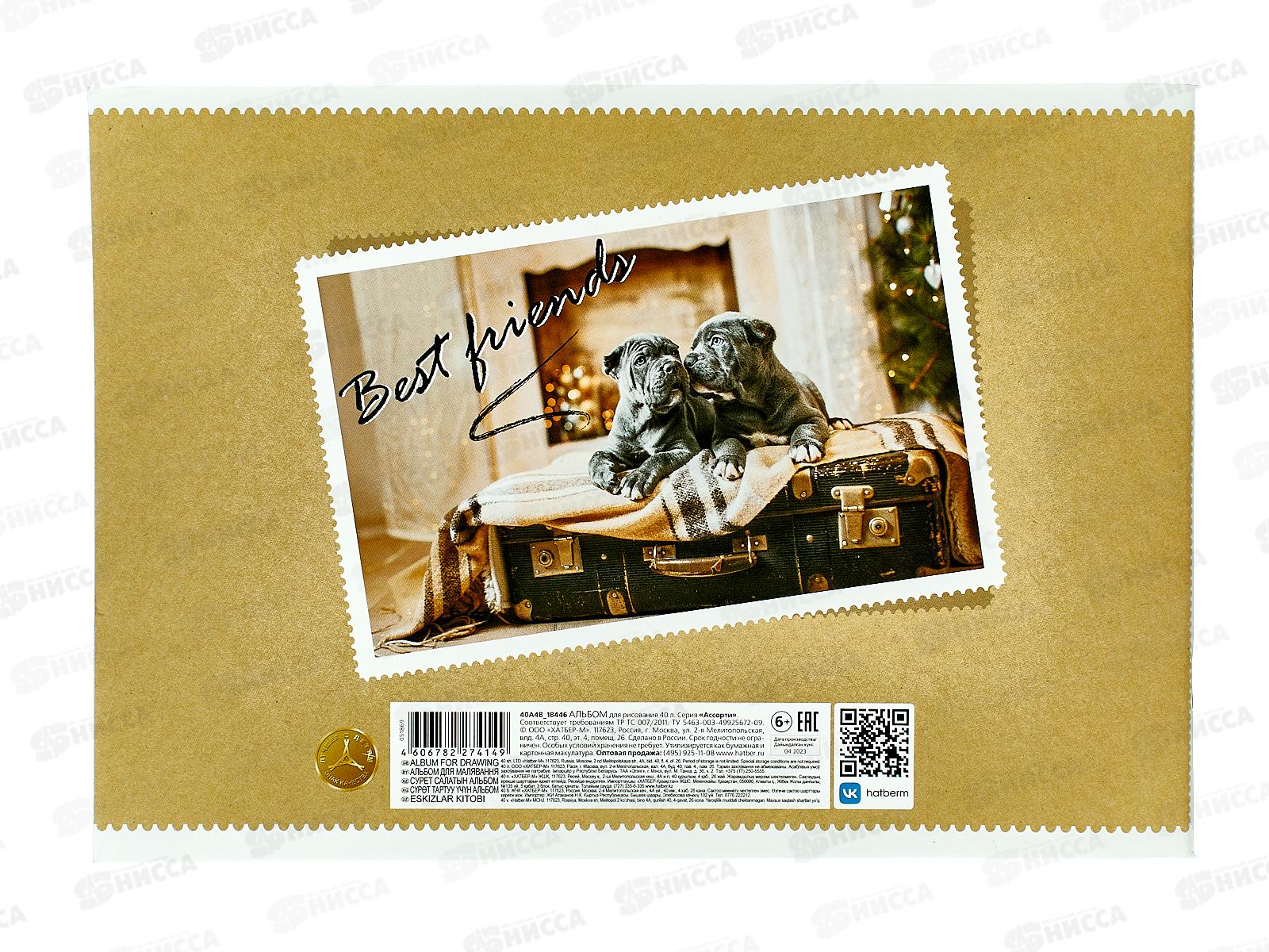 Альбом для рисования 40л Hatber Ассорти 051869 *4/32