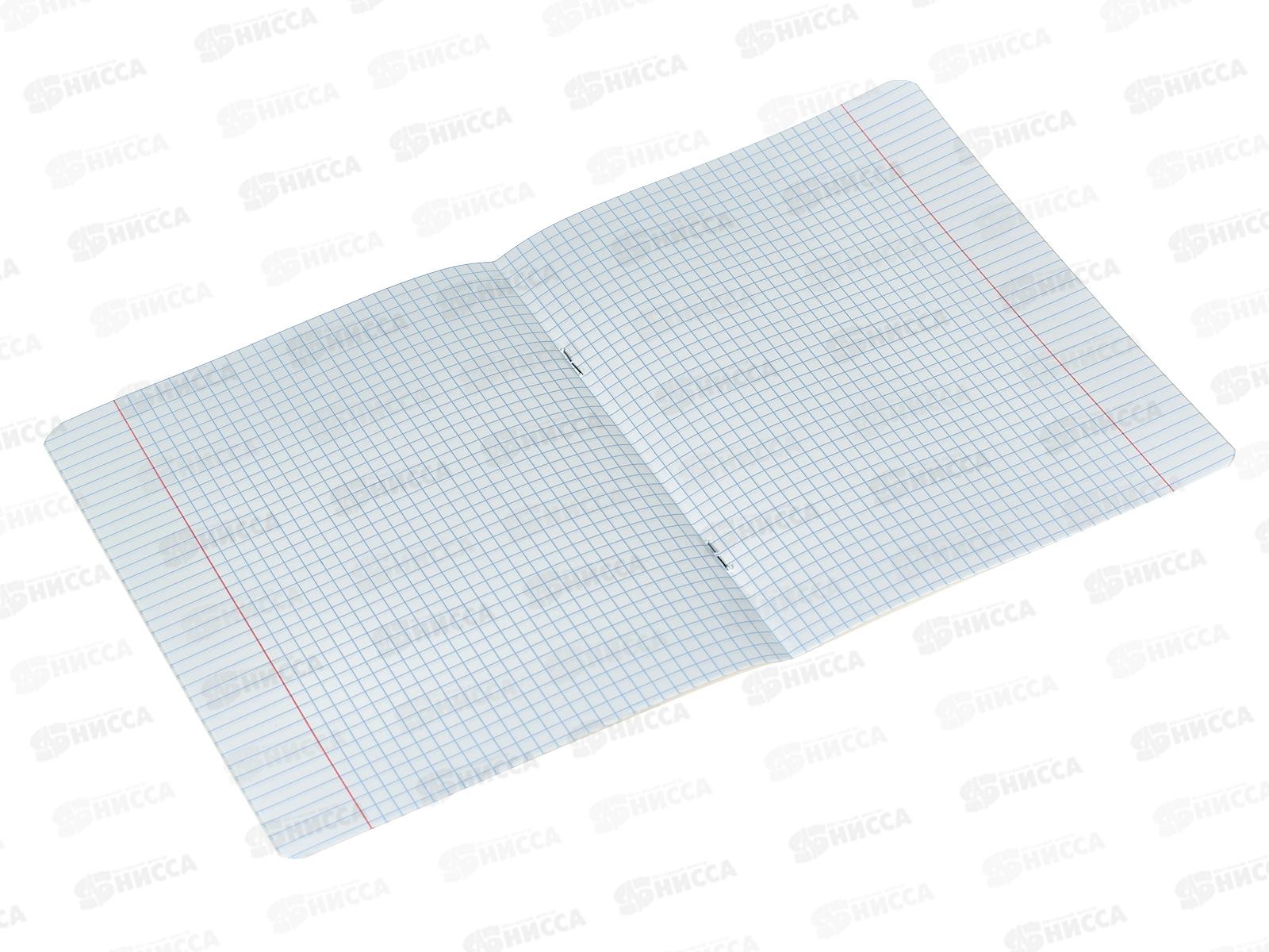 Тетрадь 12листов клетка Hatber ЗооМир 080066*10/140