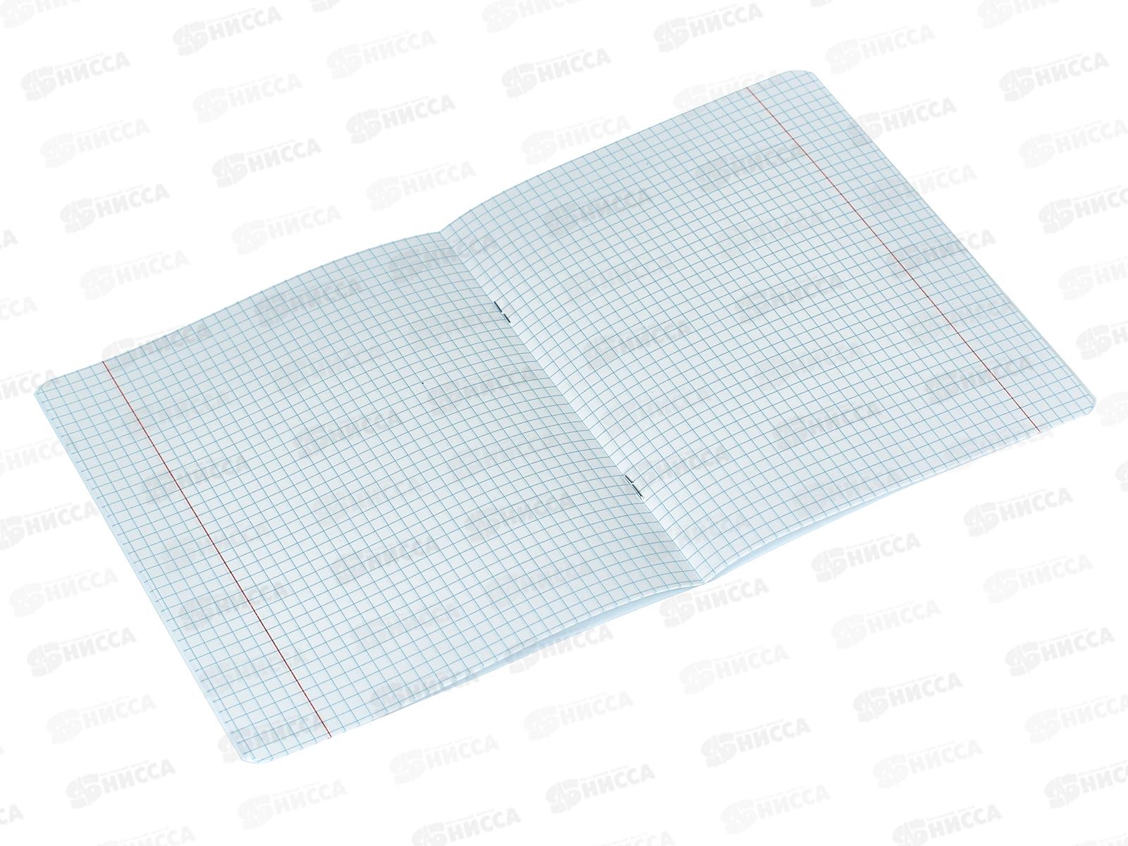 Тетрадь 12листов клетка Hatber Мой друг Дино 067638 *20/280