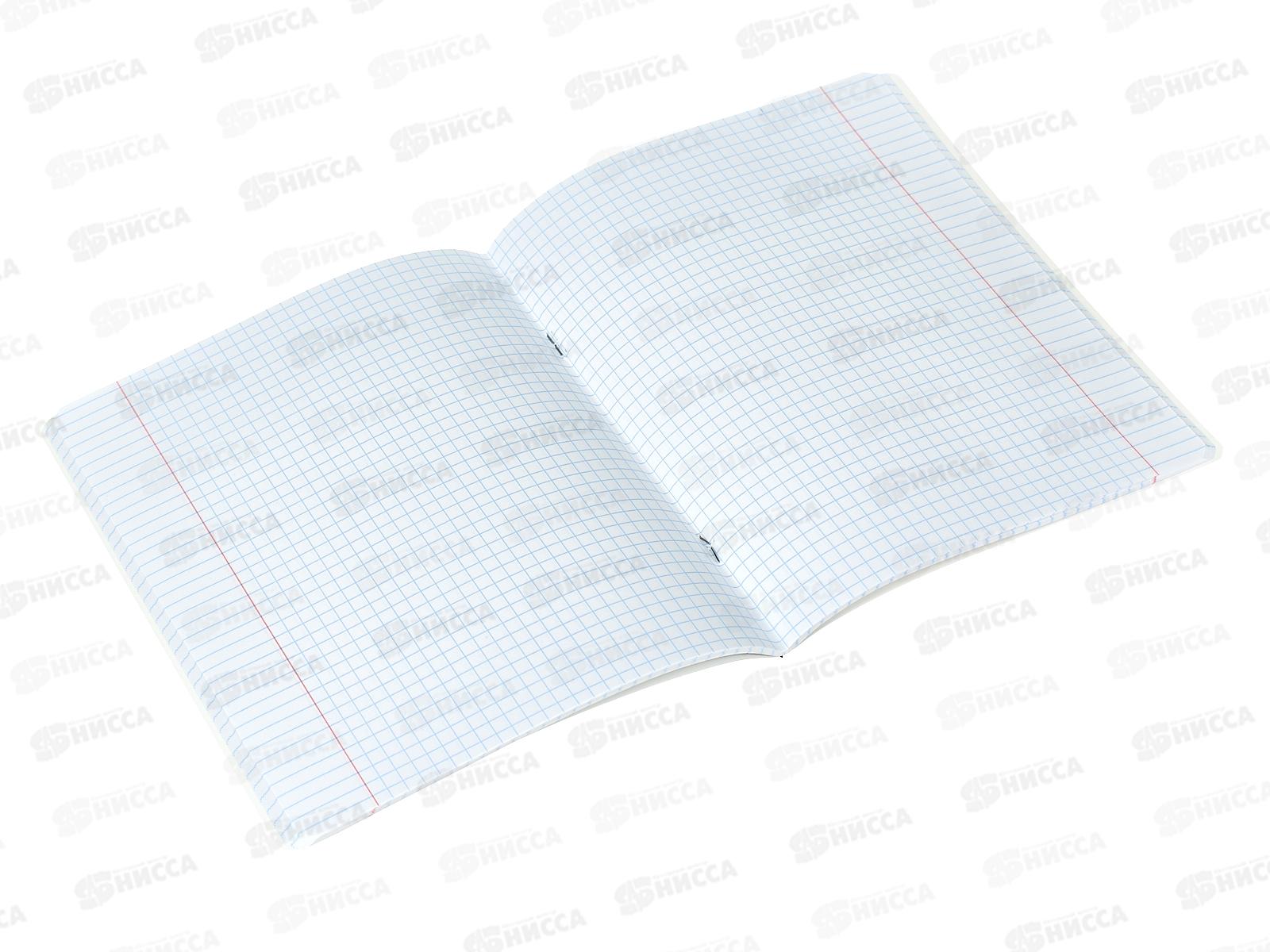 Тетрадь 48л кл. Hatber В моем стиле 080166*10/100