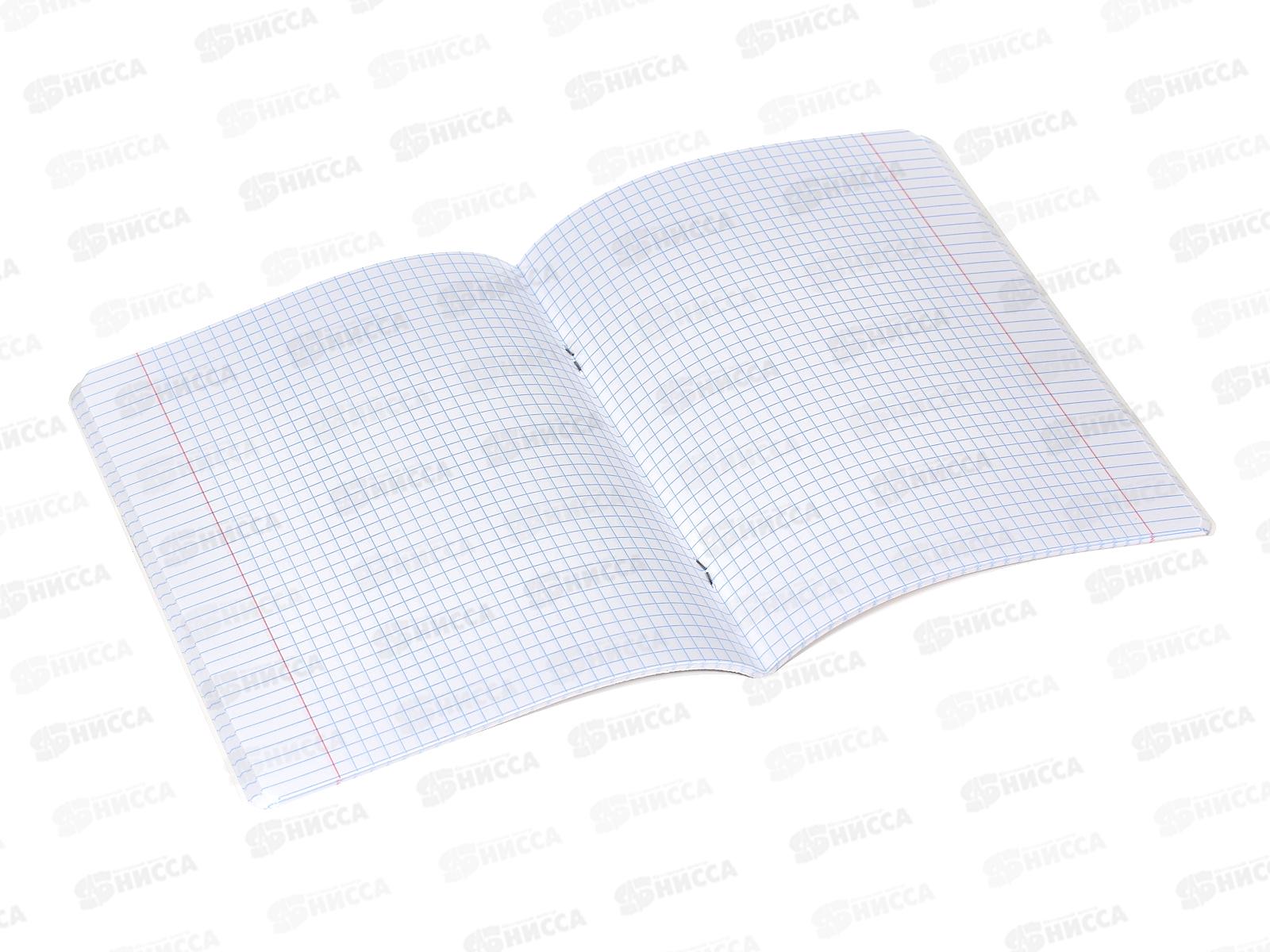 Тетрадь 48 листов клетка  Hatber Гусь умный 078540 *5/60