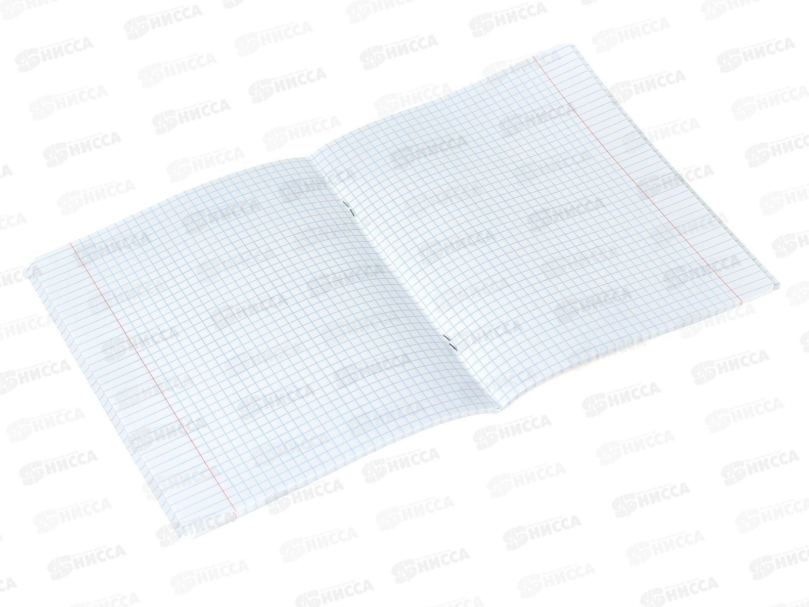 Тетрадь 48листов клетка  Hatber Апельсиновые мечты 082807*10/100