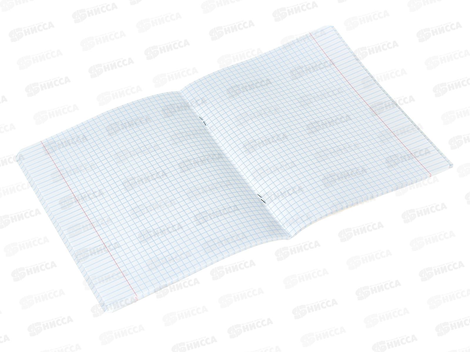 Тетрадь 48листов клетка  Hatber Озорной апельсинчик 082845*10/100