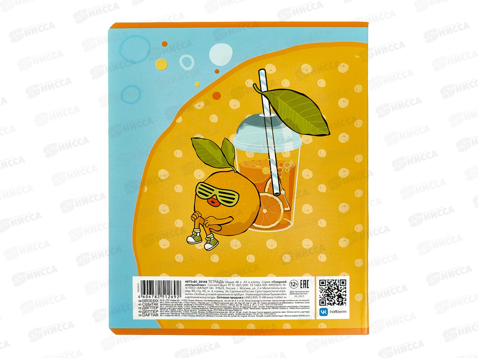 Тетрадь 48листов клетка  Hatber Озорной апельсинчик 082845*10/100